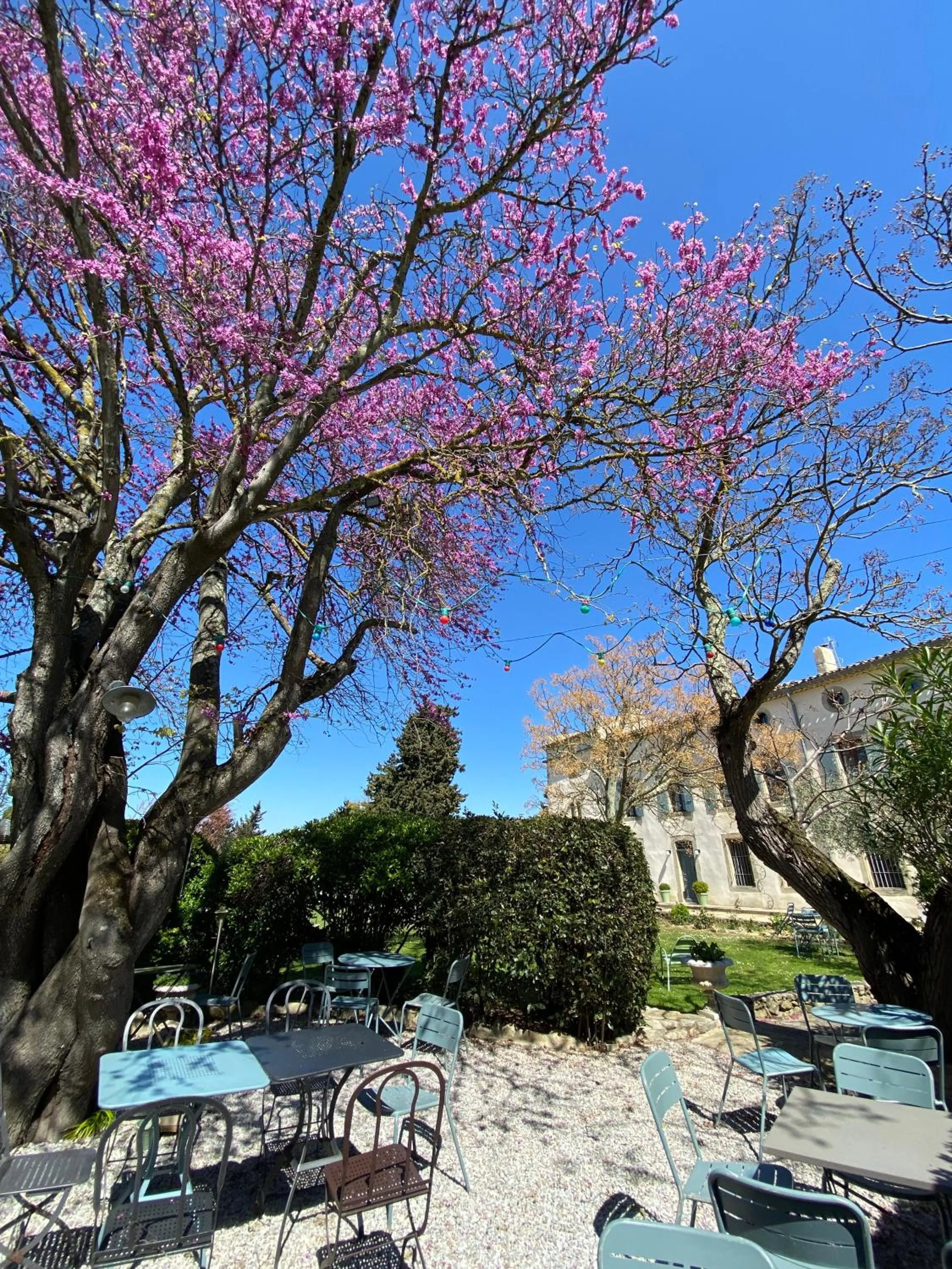 Patio in Logis Hôtel Château De Palaja