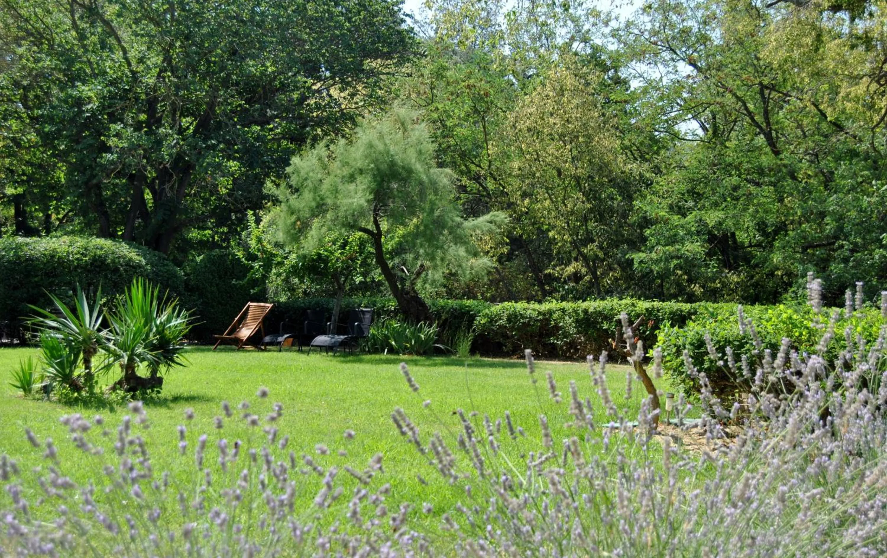 Garden in Logis Hôtel Château De Palaja