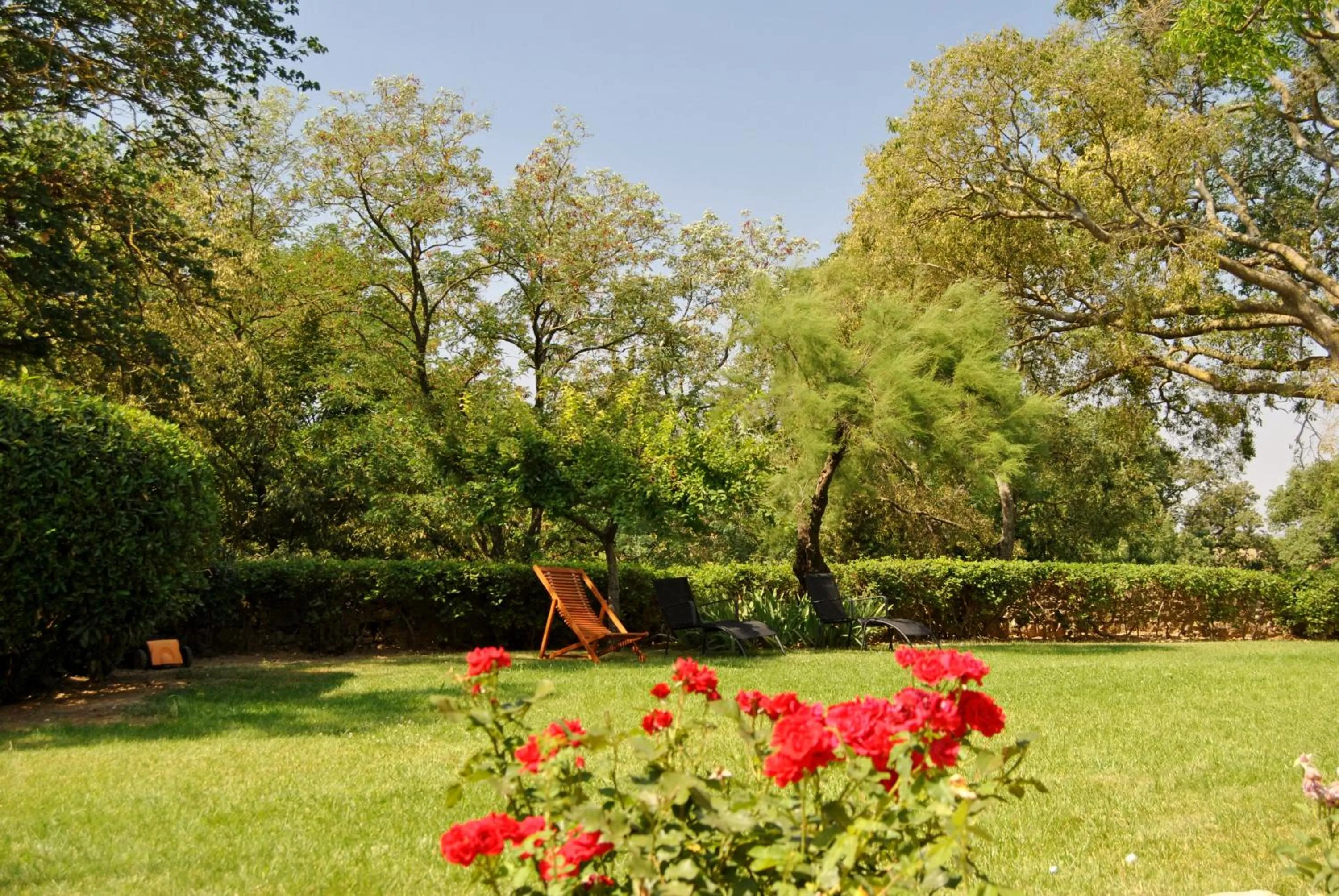Garden in Logis Hôtel Château De Palaja