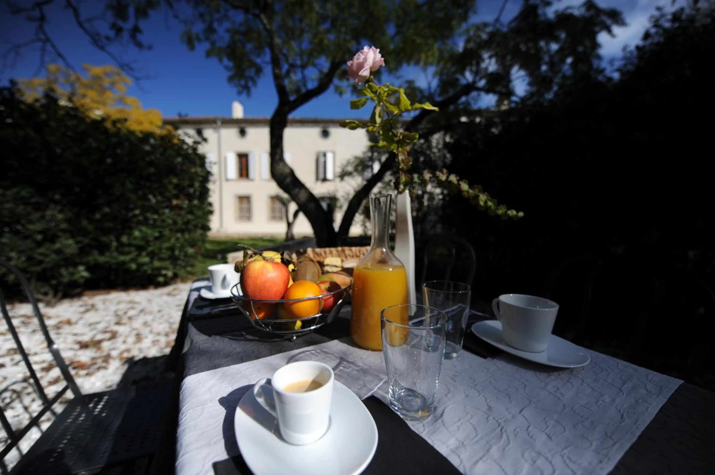 Balcony/Terrace in Logis Hôtel Château De Palaja