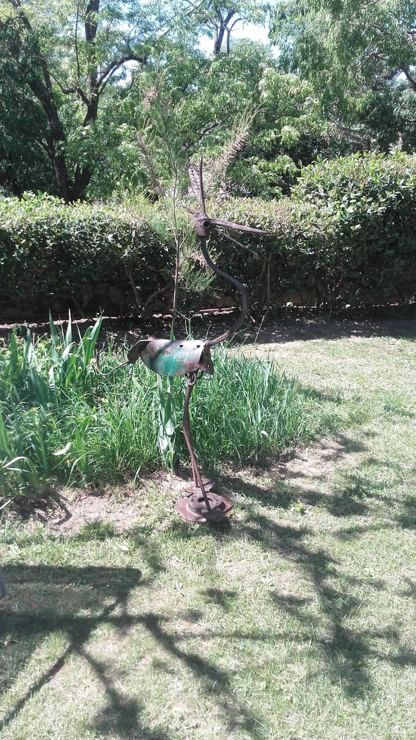 Garden in Logis Hôtel Château De Palaja