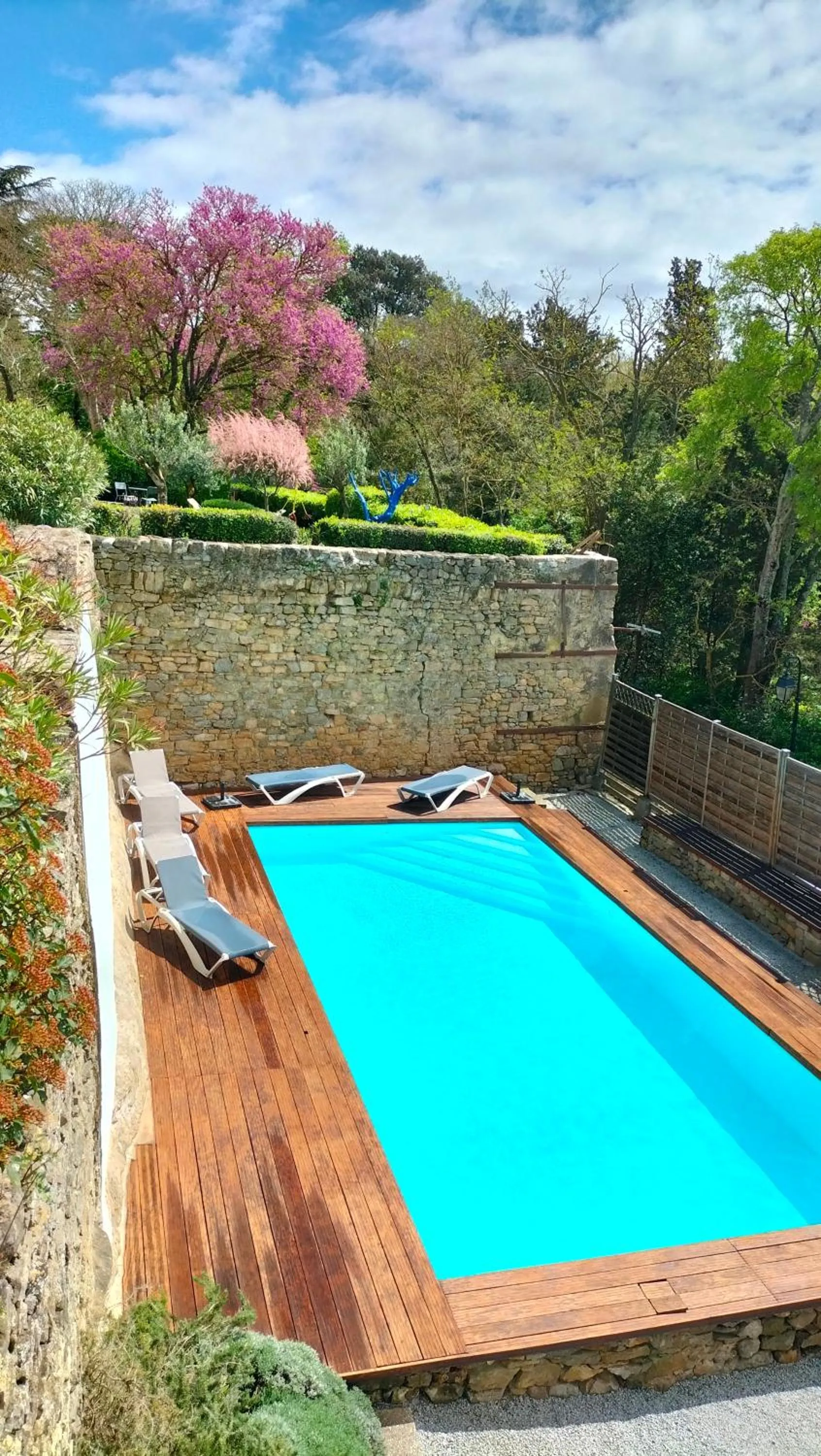 Swimming pool in Logis Hôtel Château De Palaja