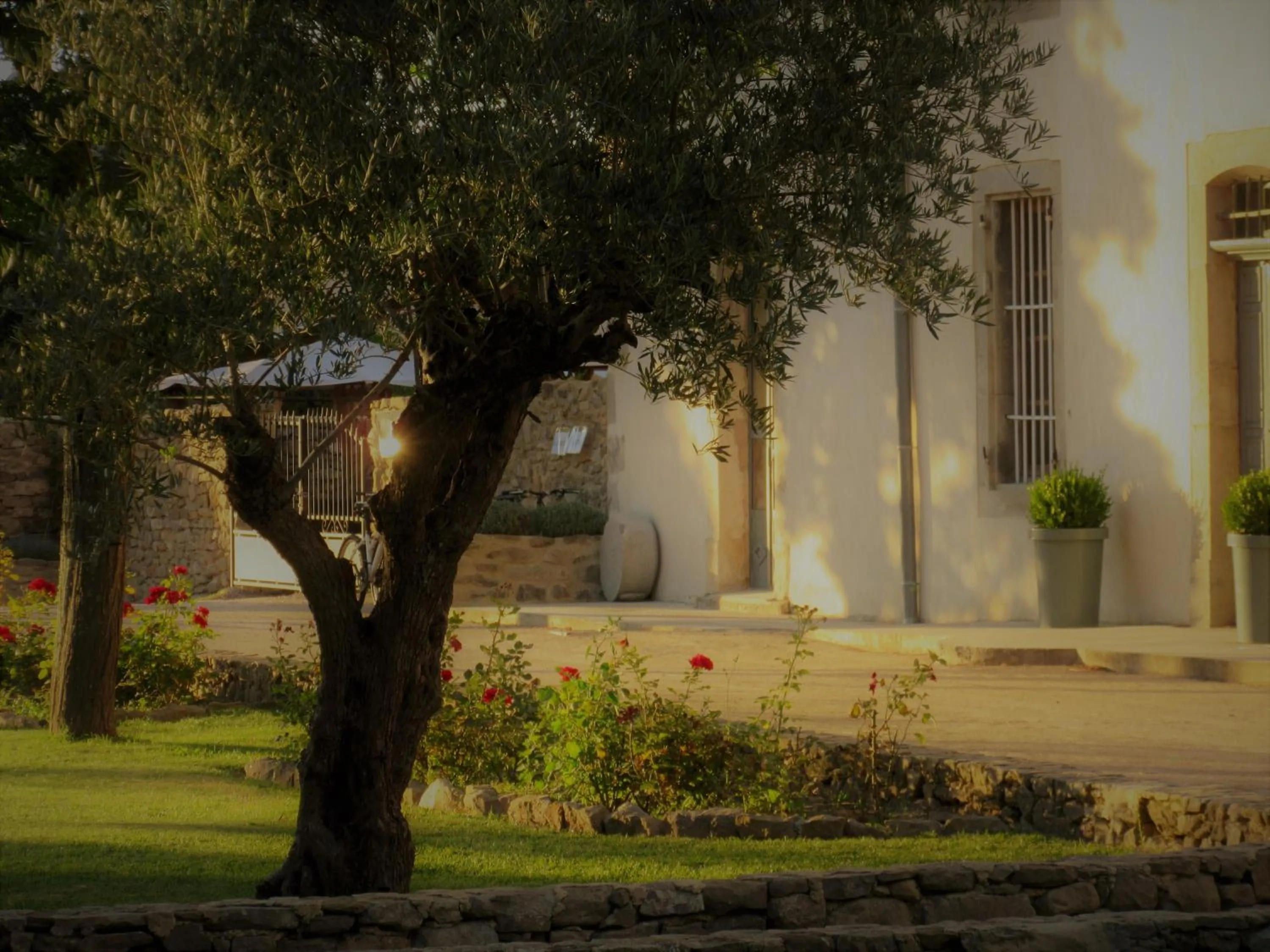 Garden in Logis Hôtel Château De Palaja
