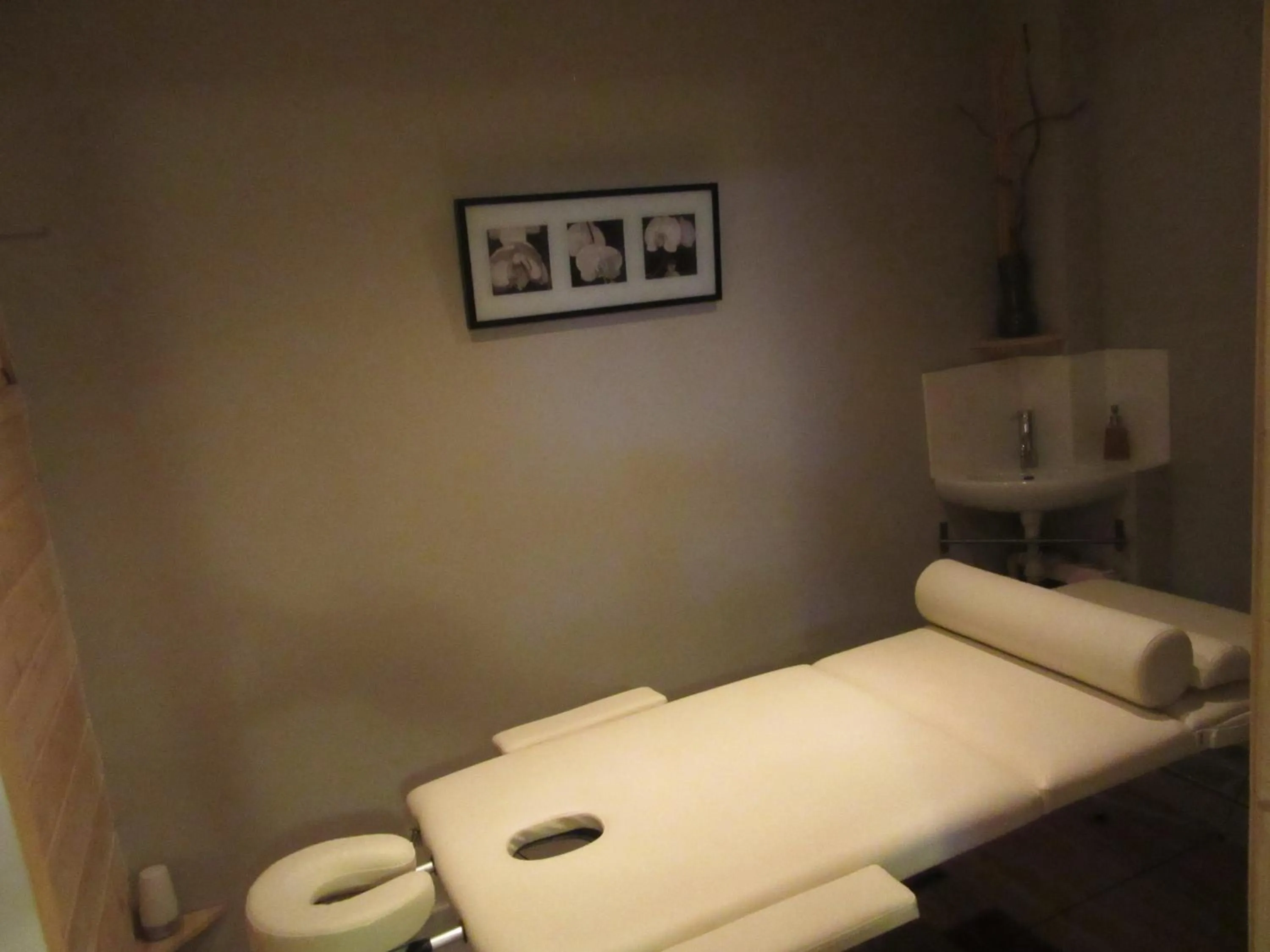 Massage in Logis Hôtel Château De Palaja