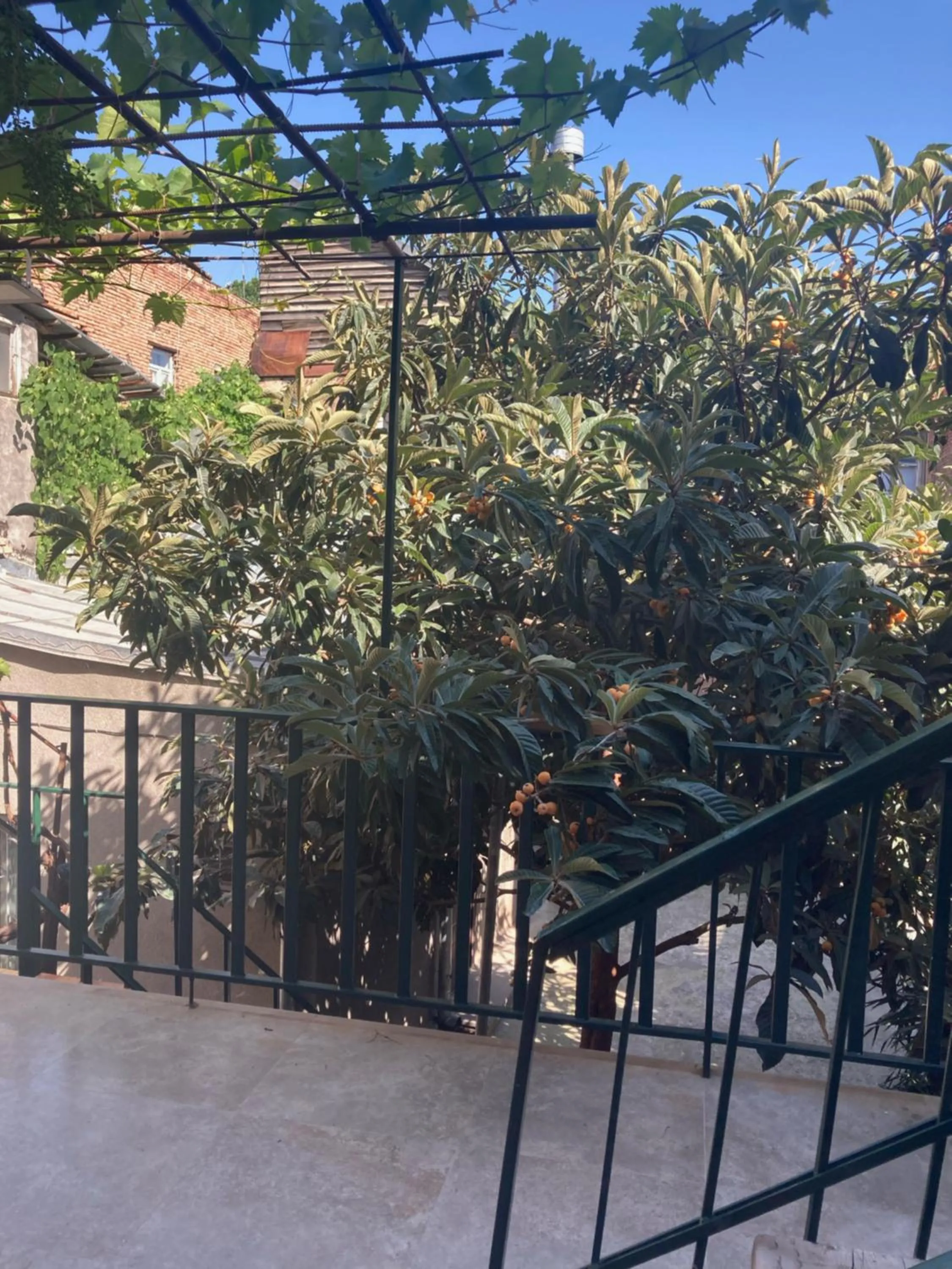 Garden in Historic Apartments "1868 Tbilisi" Best Location
