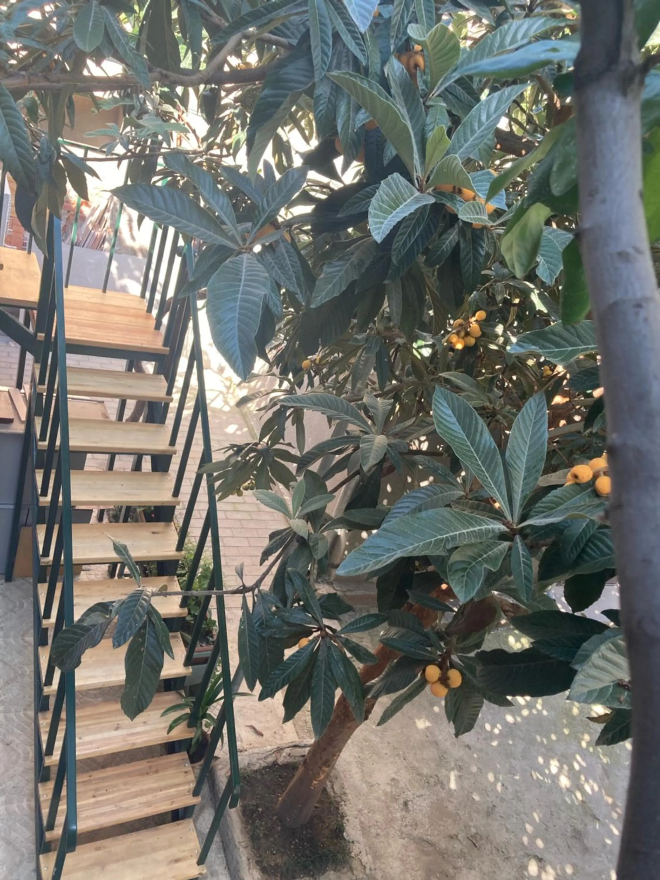 Spring in Historic Apartments "1868 Tbilisi" Best Location