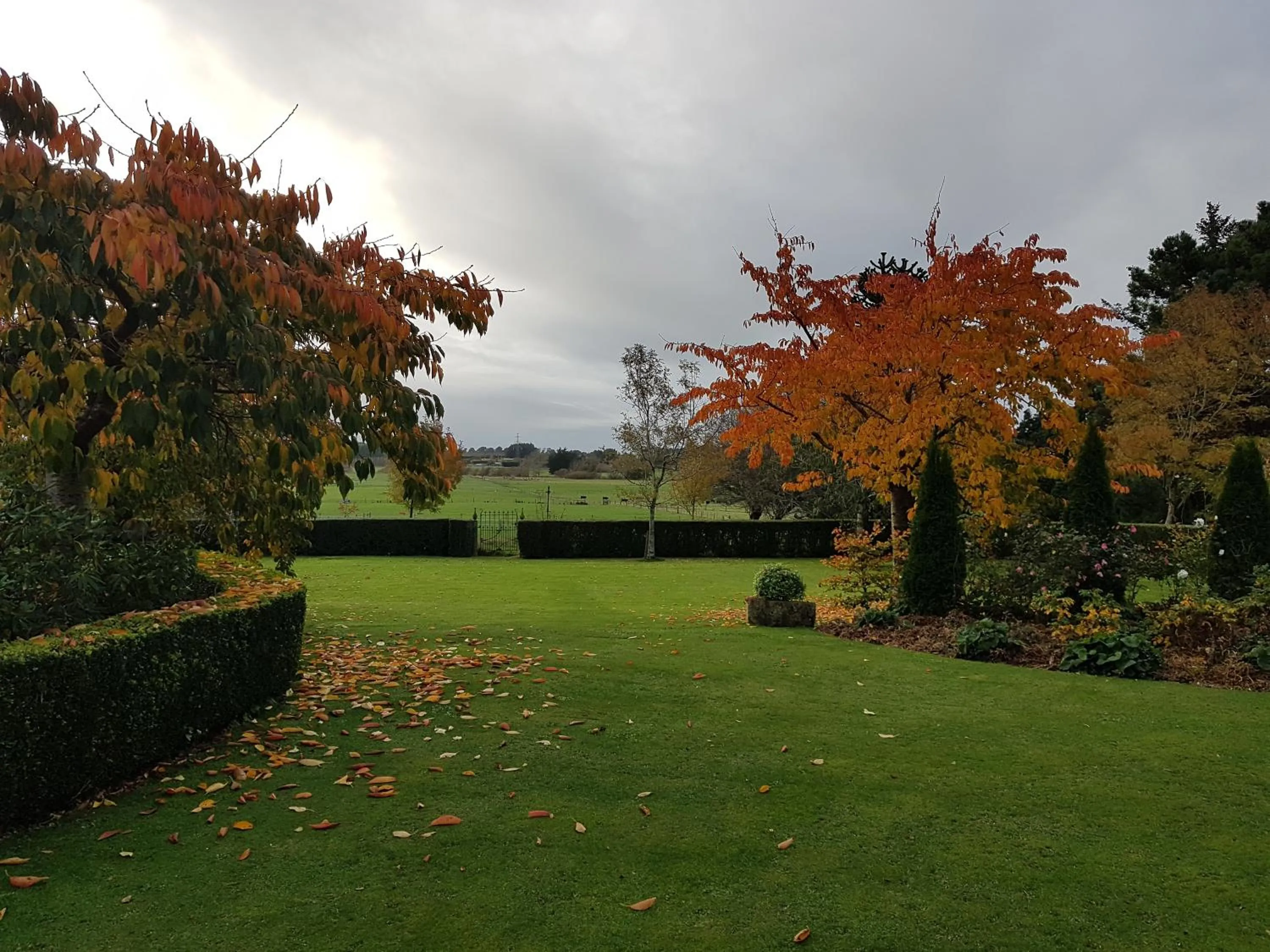 Garden in Whiteacres