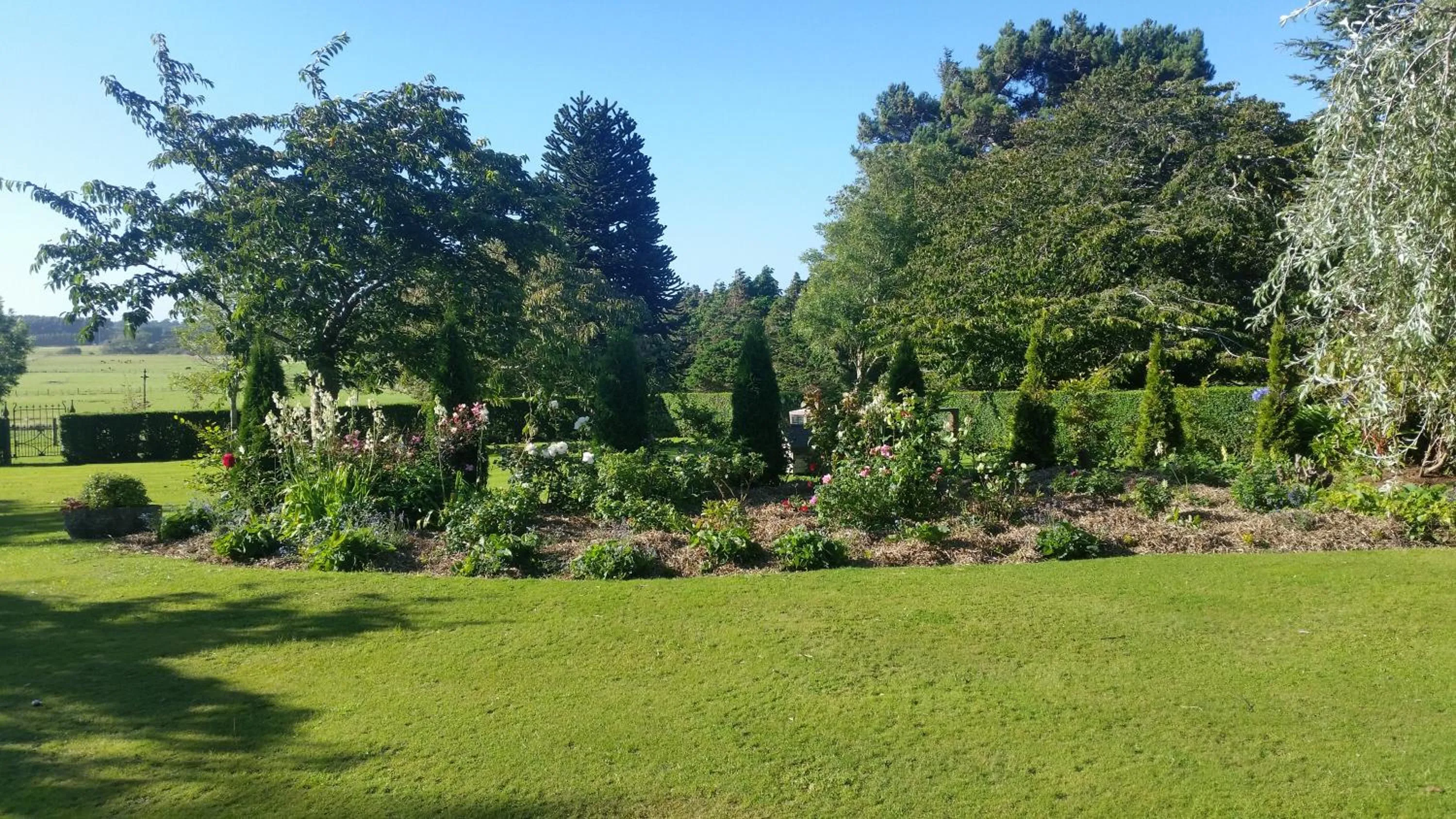 Garden in Whiteacres