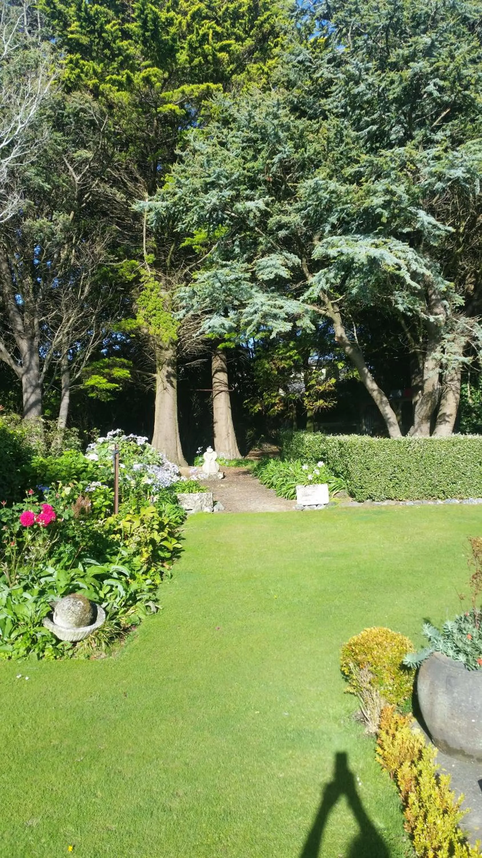 Garden in Whiteacres