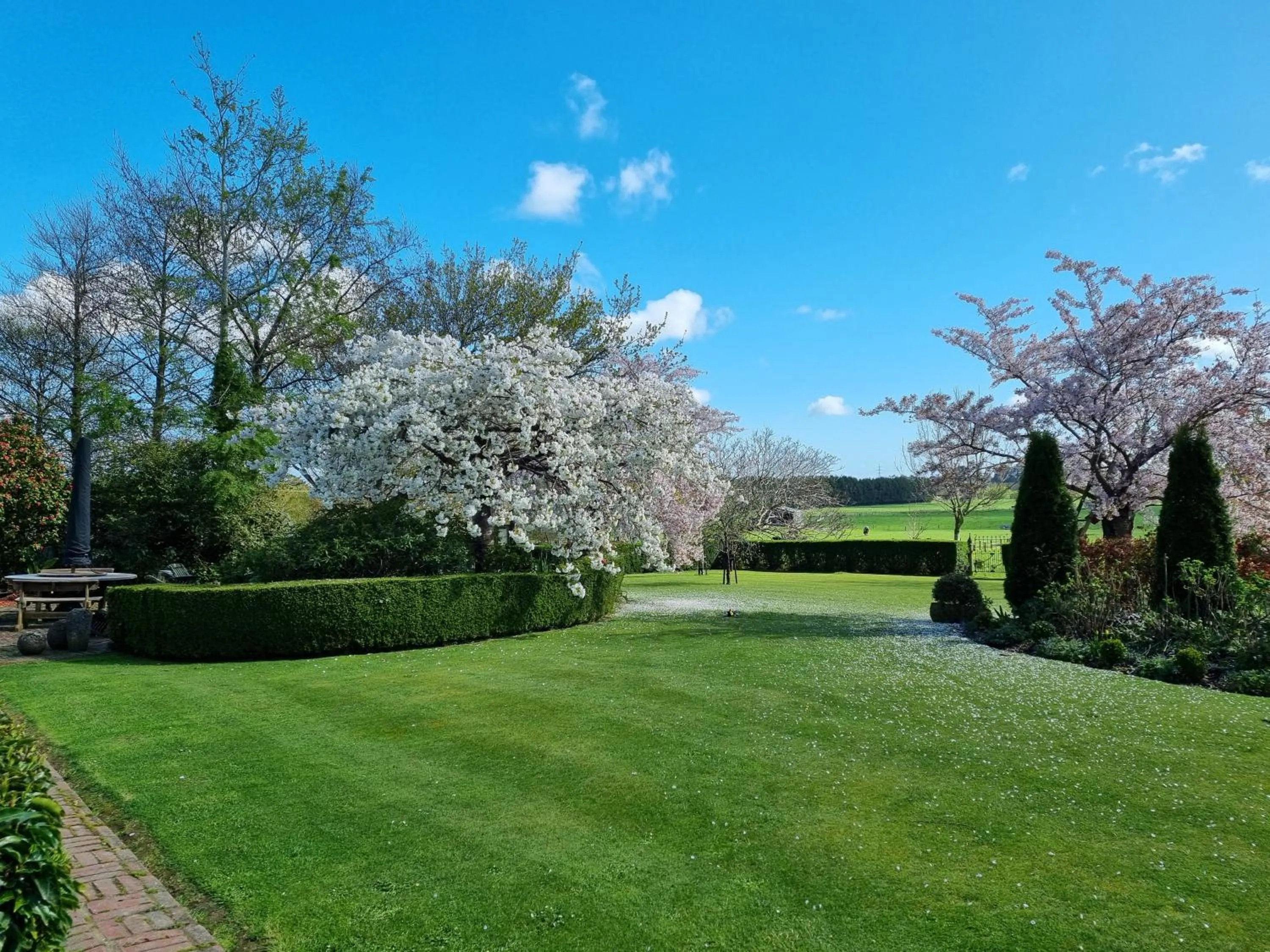 Garden view in Whiteacres