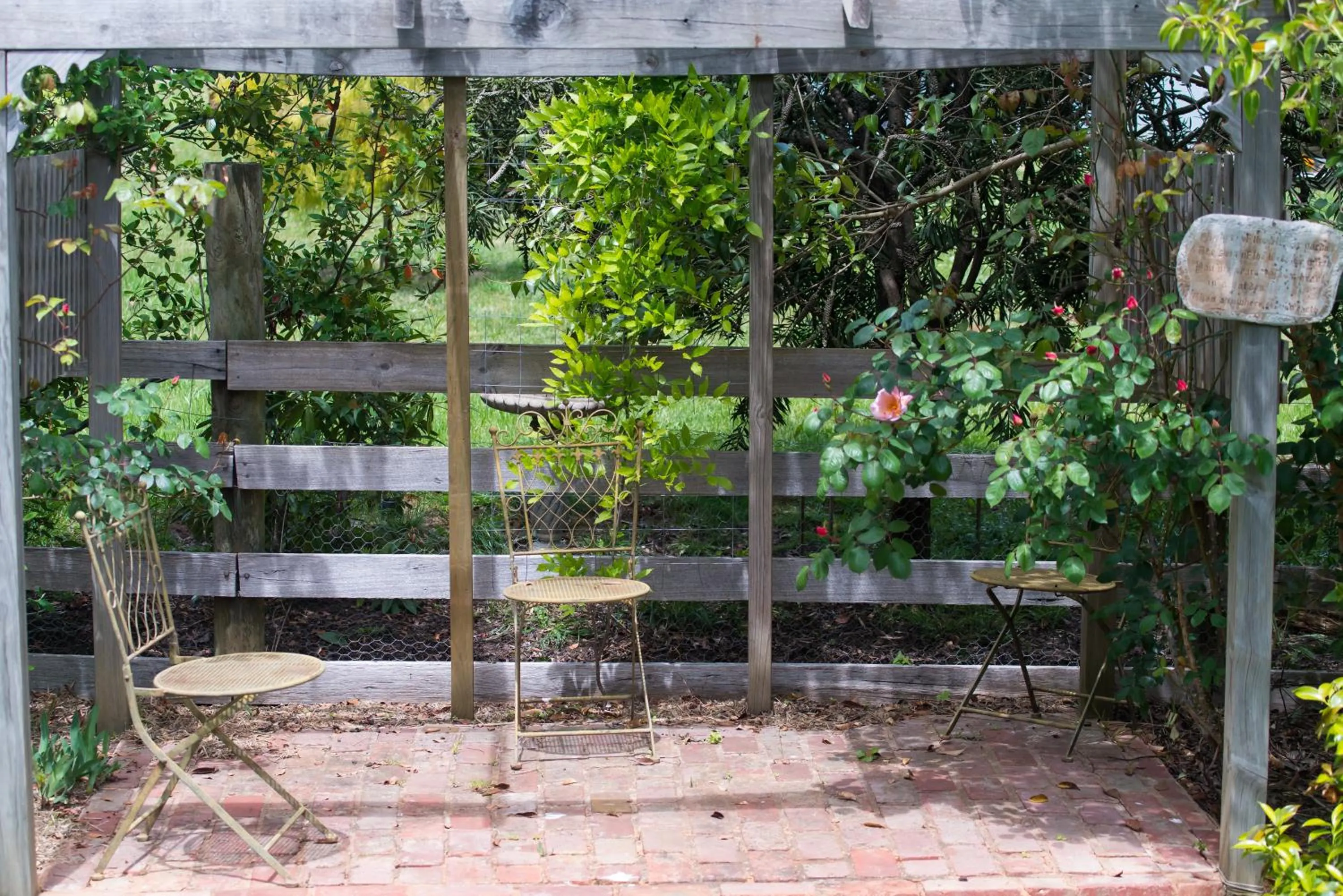 Garden view in Hollyhock