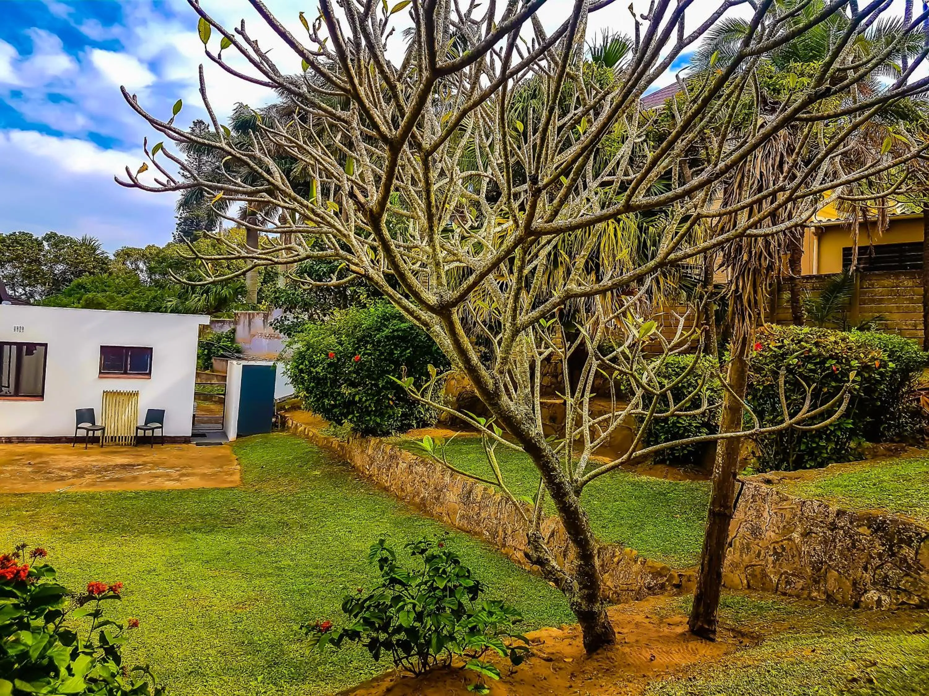 Garden in Villa Tropicana - South Africa