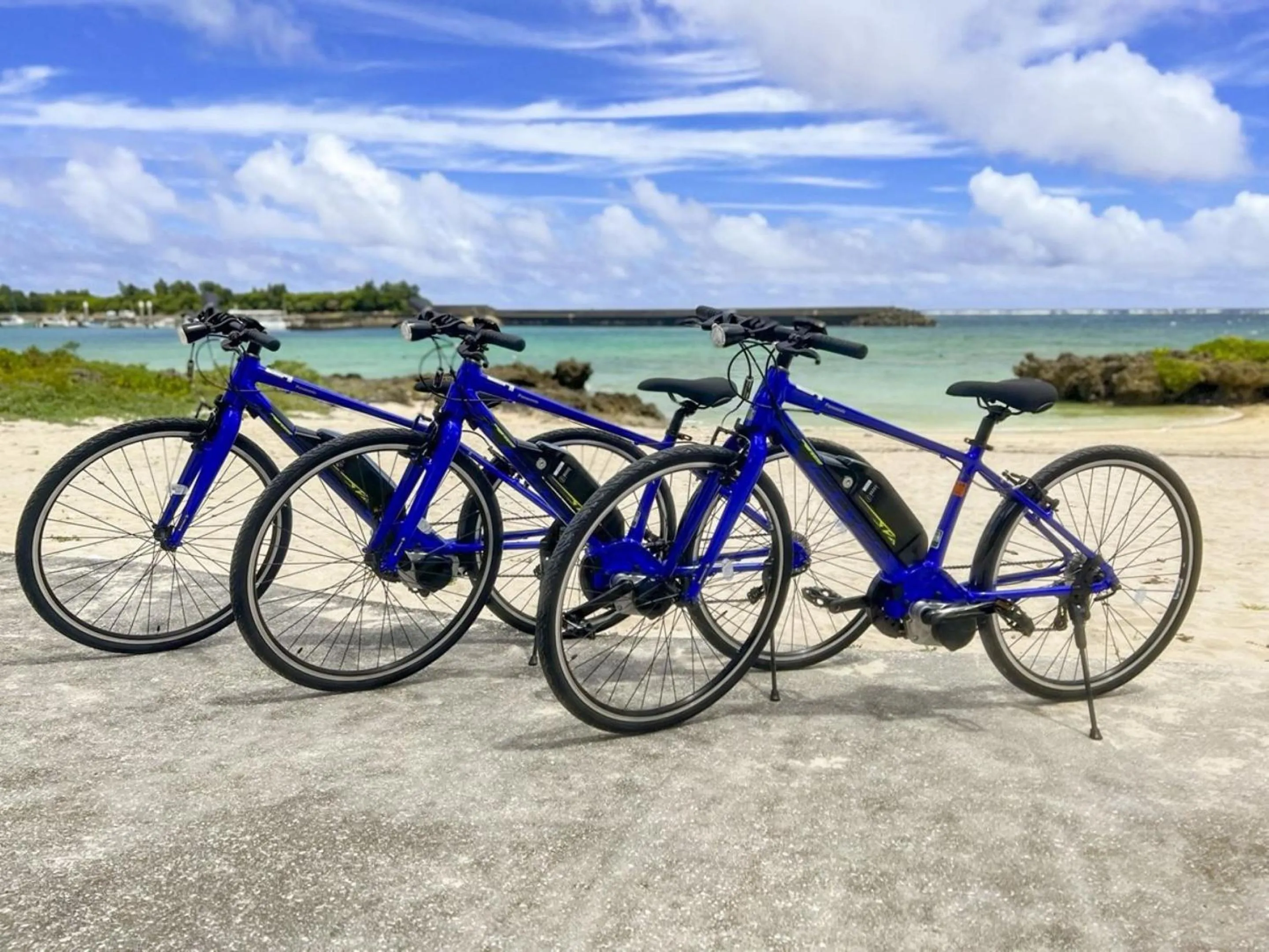 Activities in Hot Cross Point Santa Monica