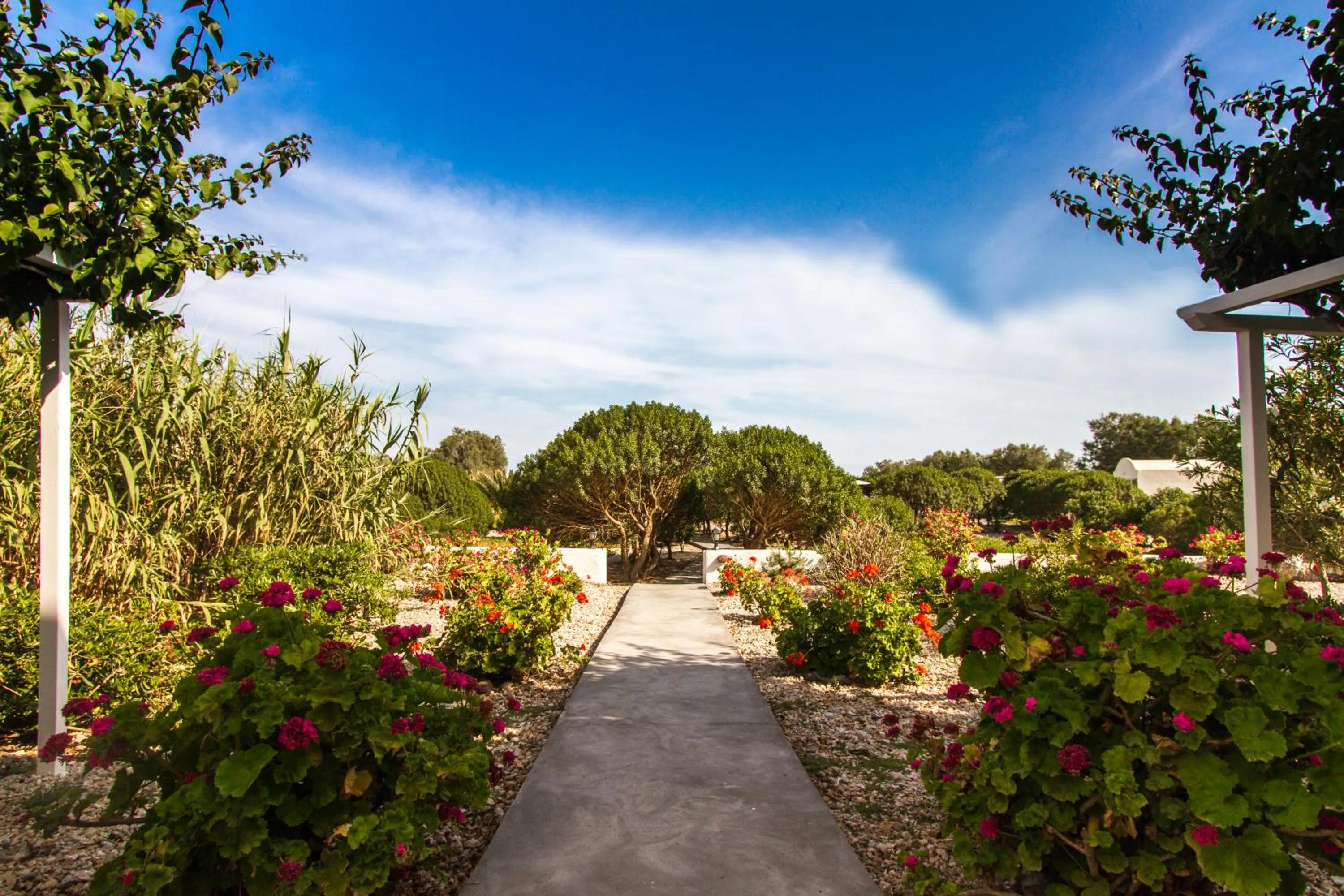 Garden in Sea Sound White Katikies