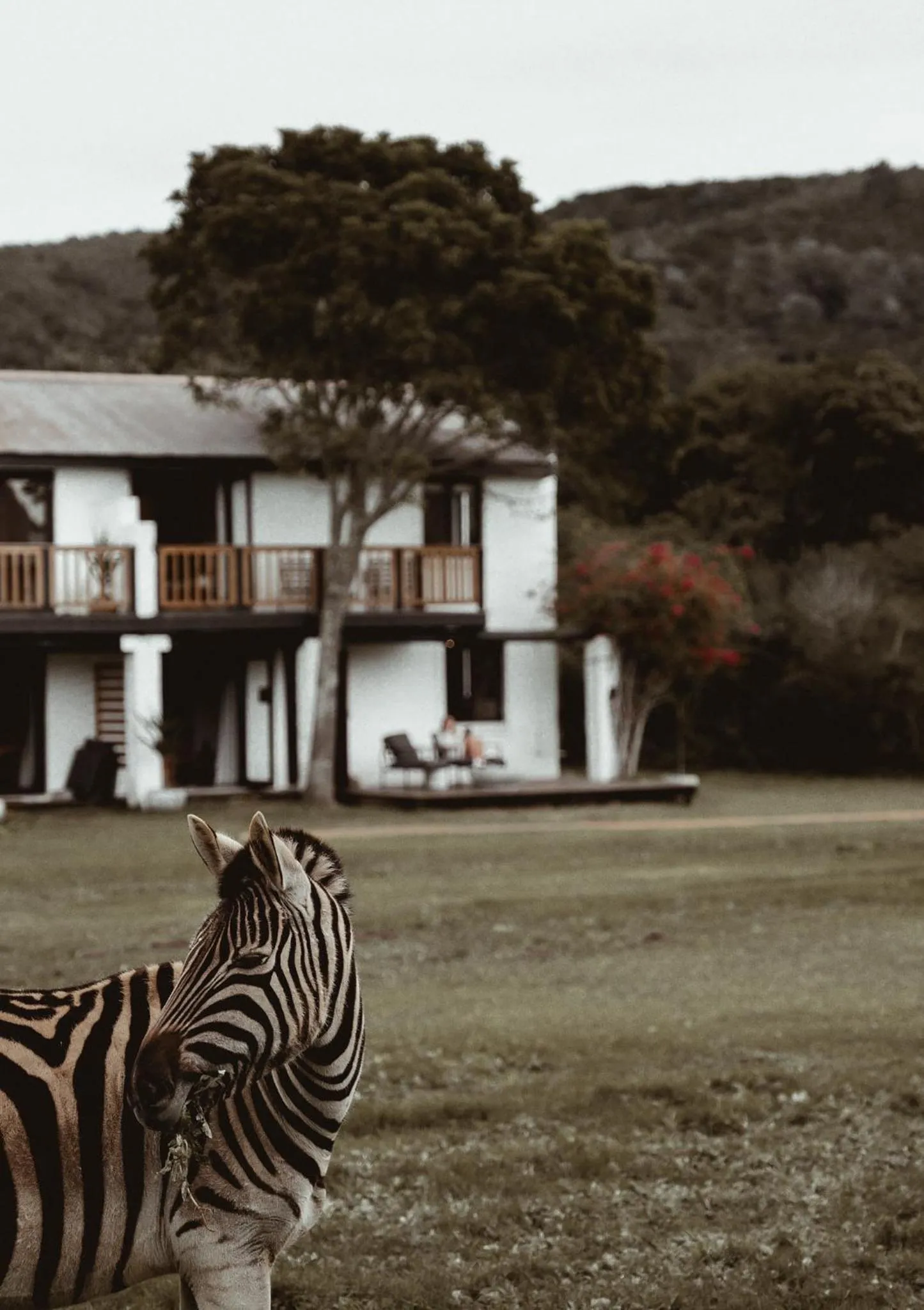 Property building in Stanley Island