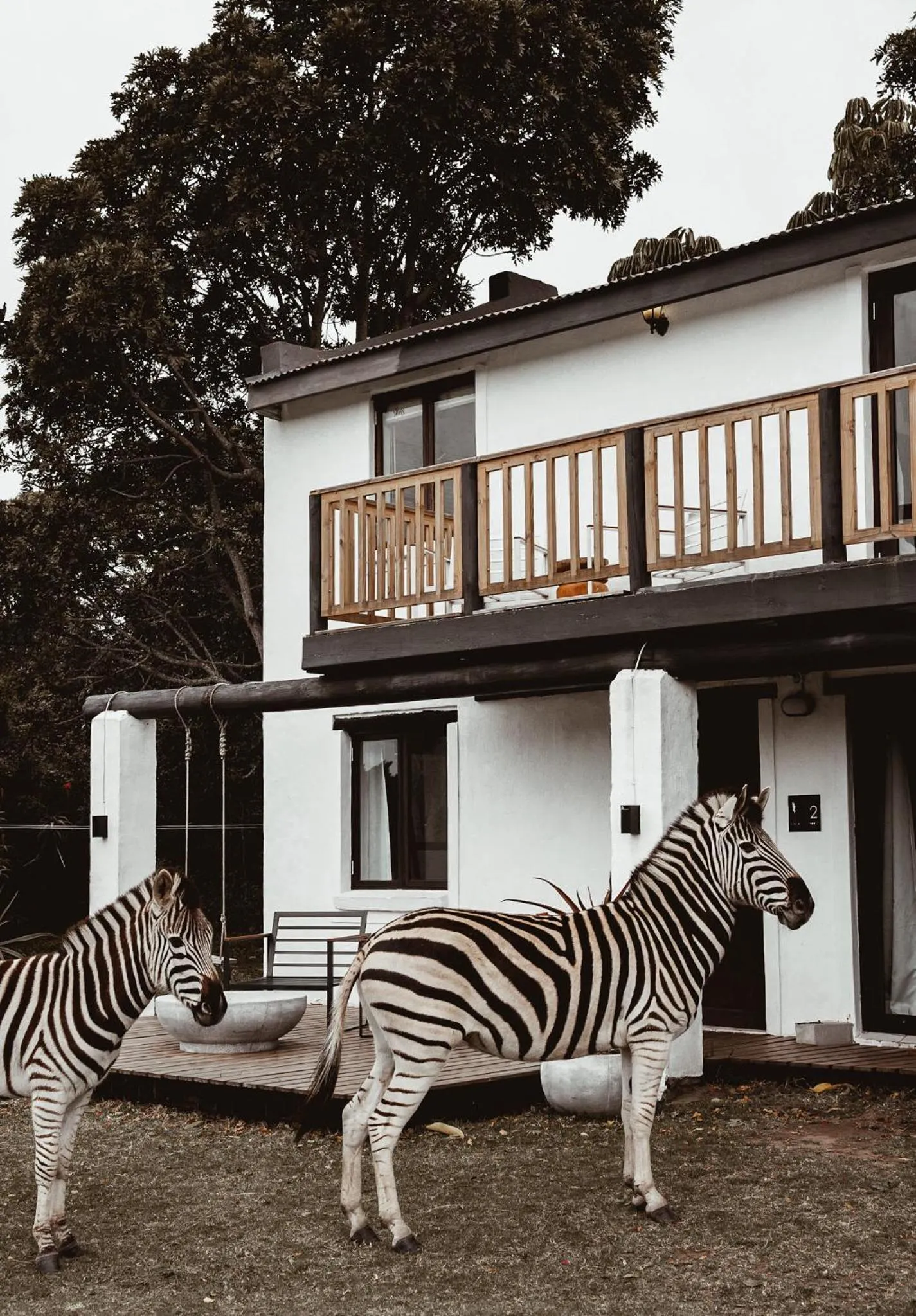 Property building in Stanley Island