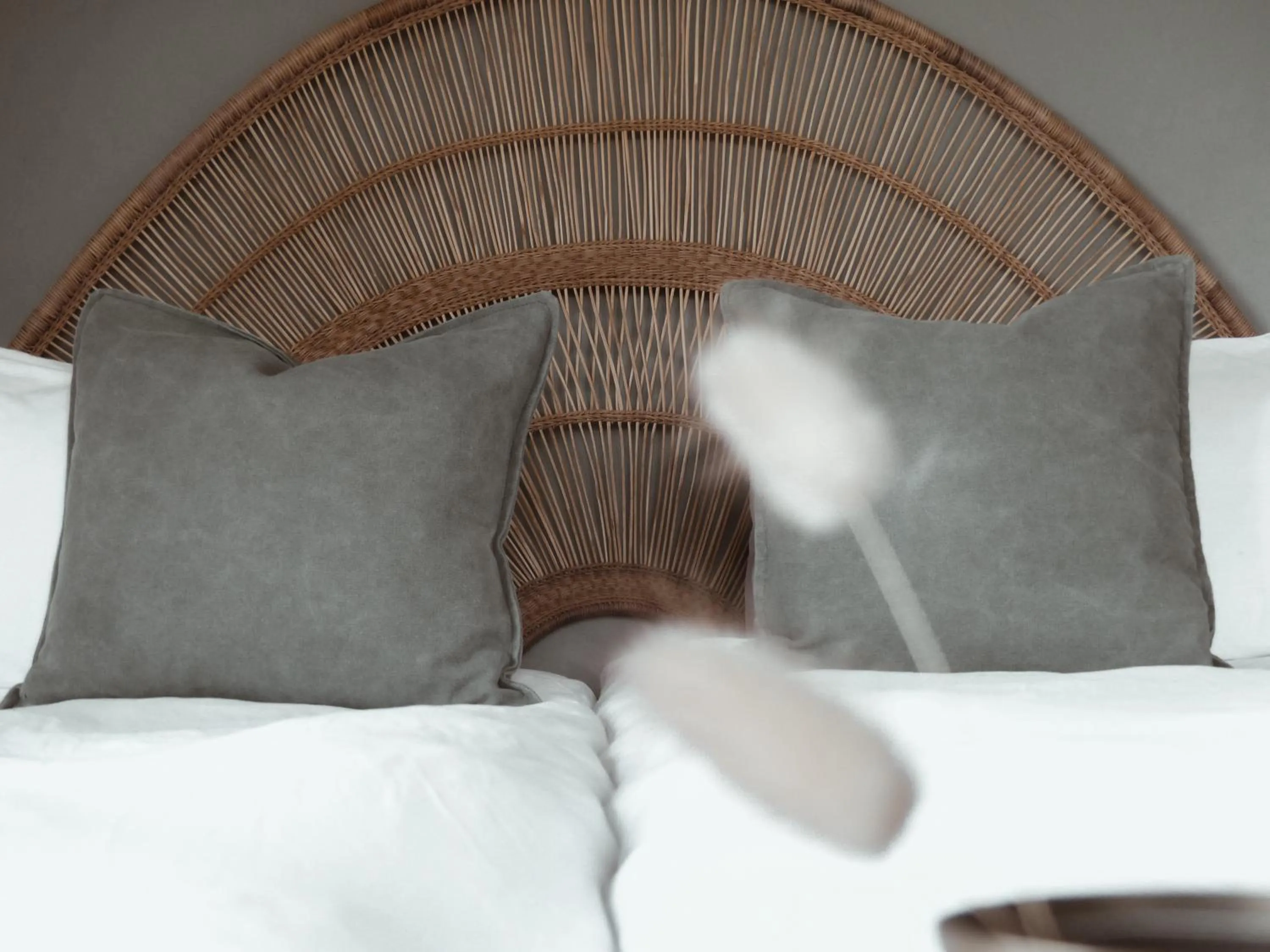 Bed in Stanley Island