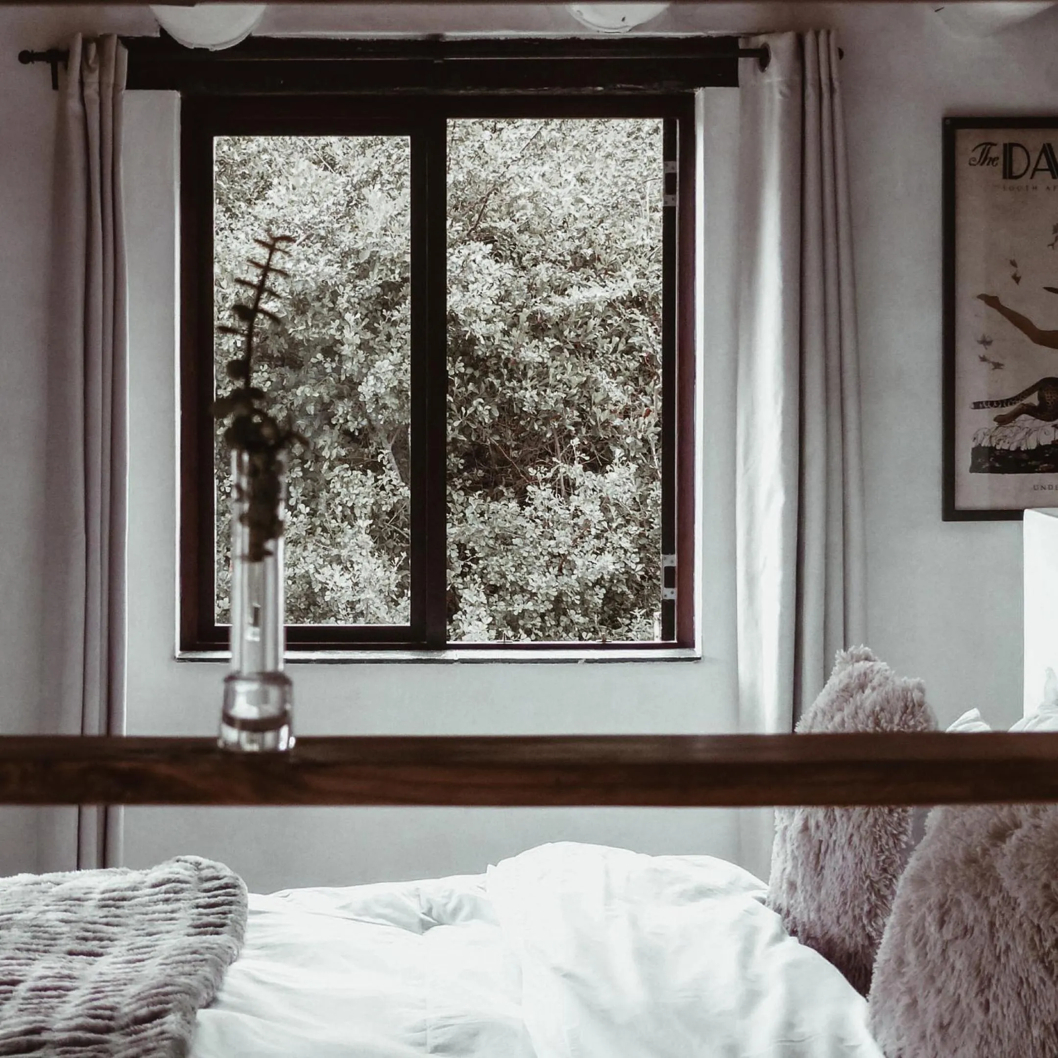 Bedroom, Bed in Stanley Island