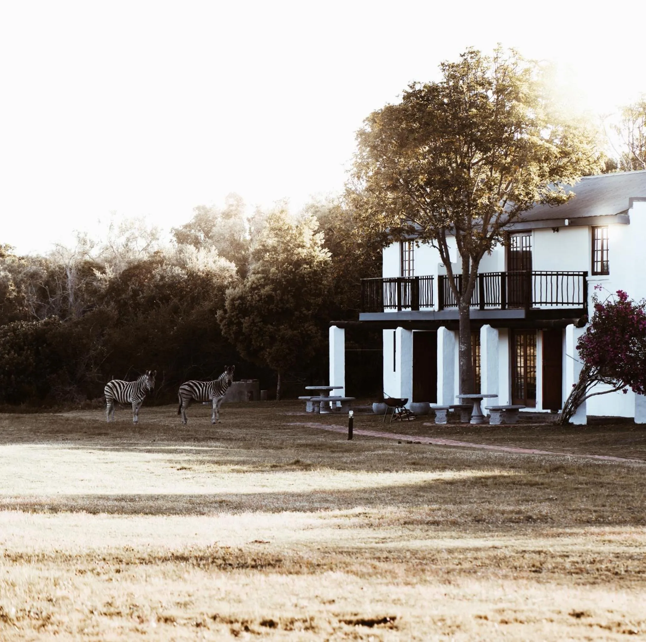Property building in Stanley Island