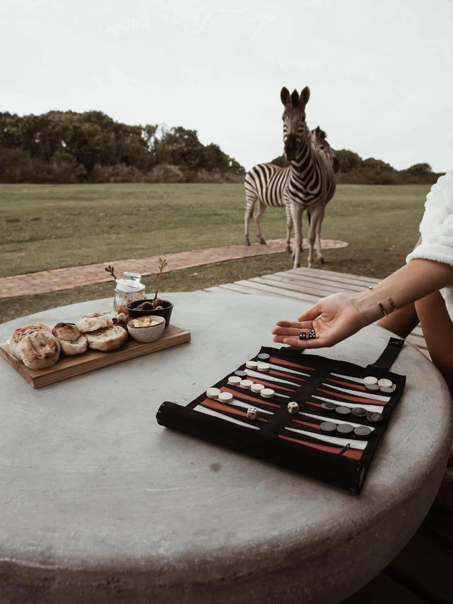 Animals in Stanley Island