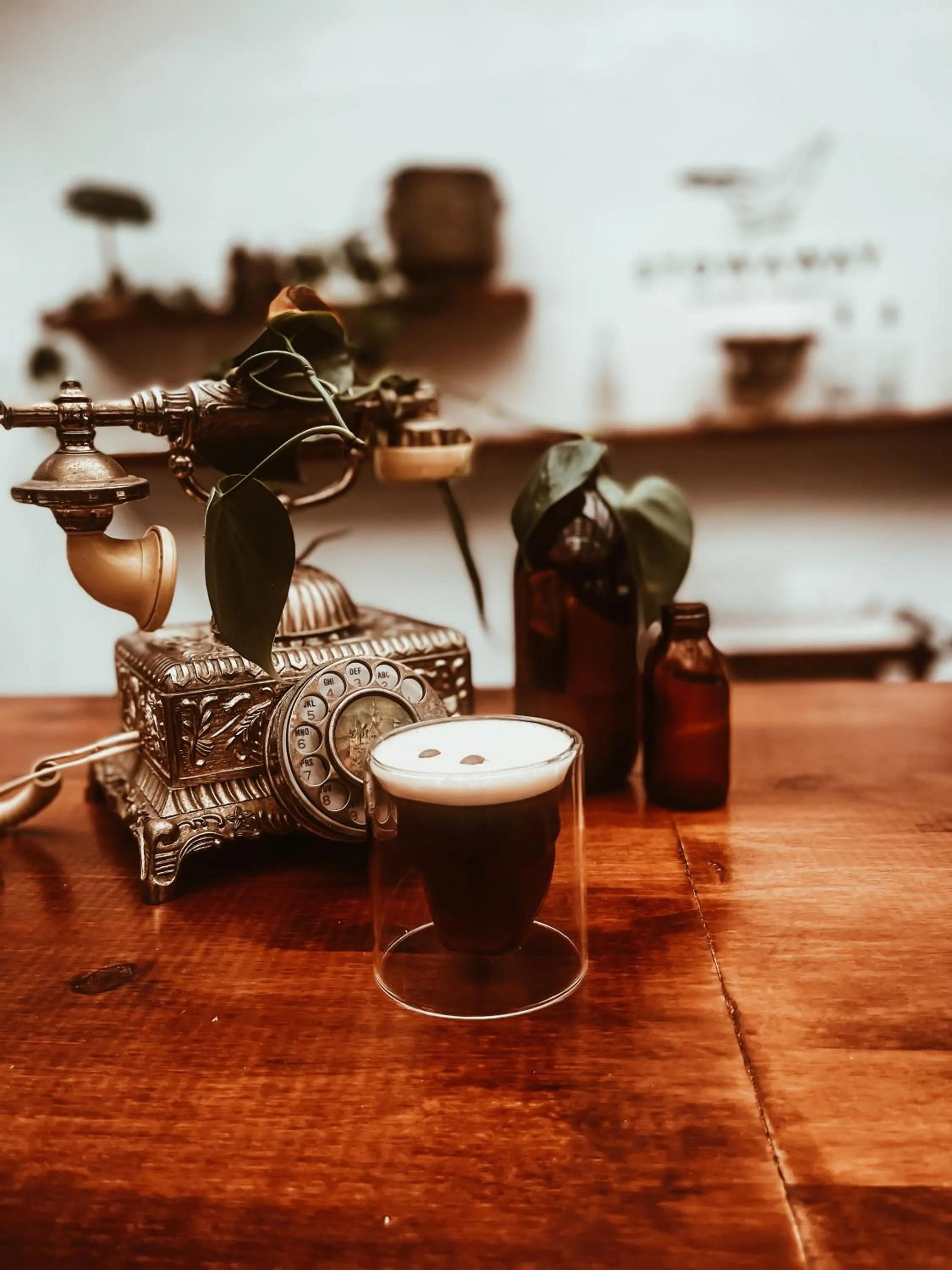 Lounge or bar in Stanley Island