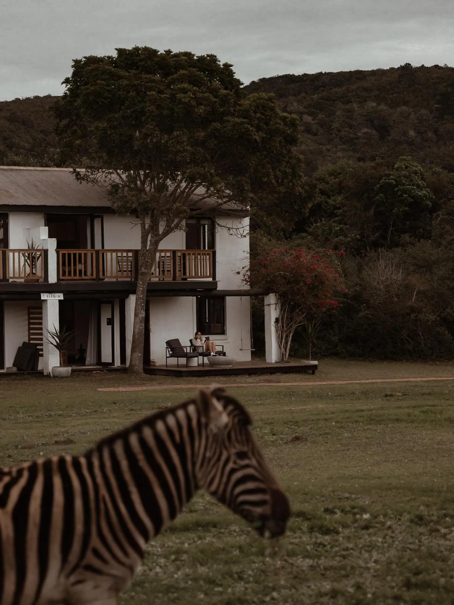 Property building in Stanley Island