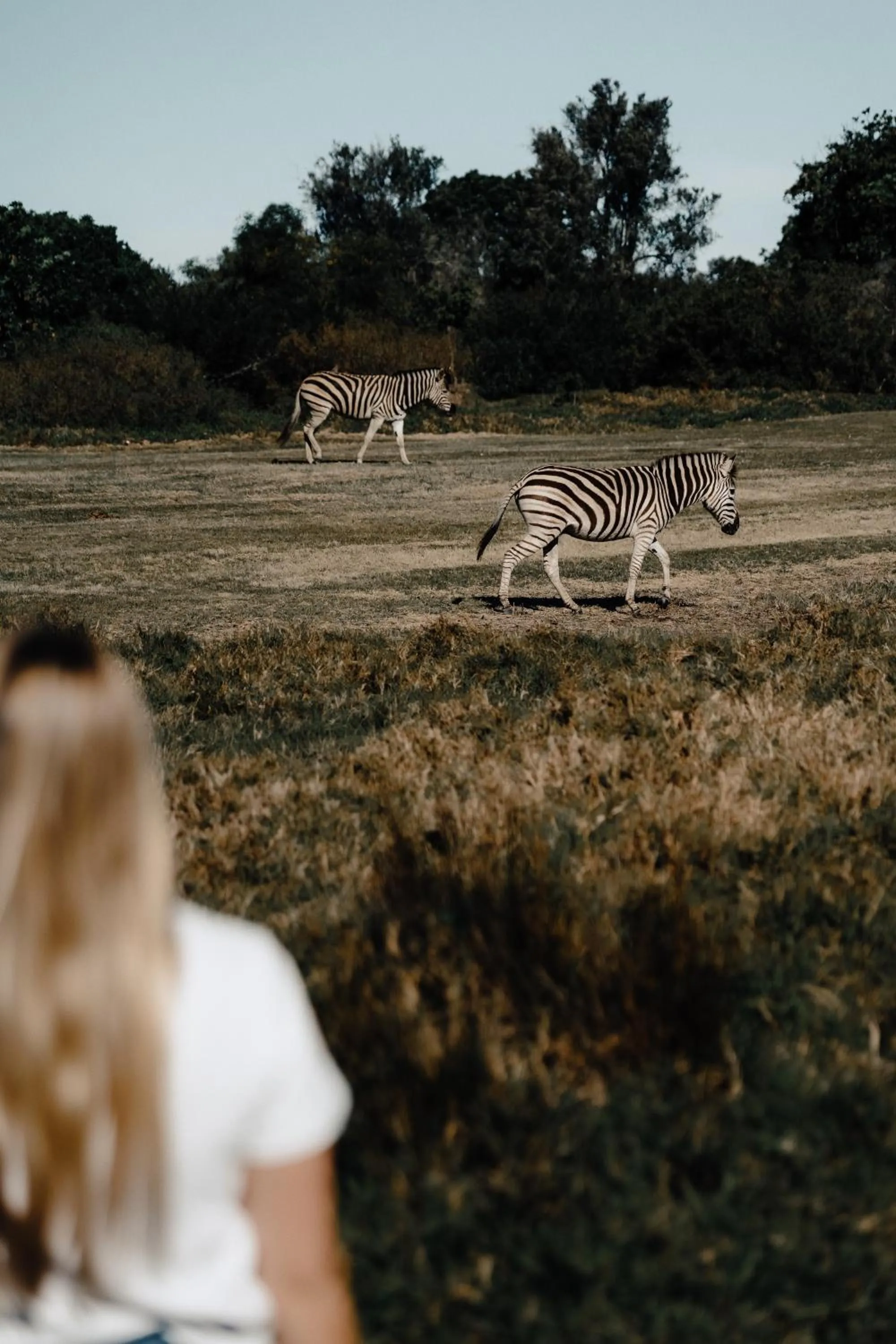 View (from property/room) in Stanley Island