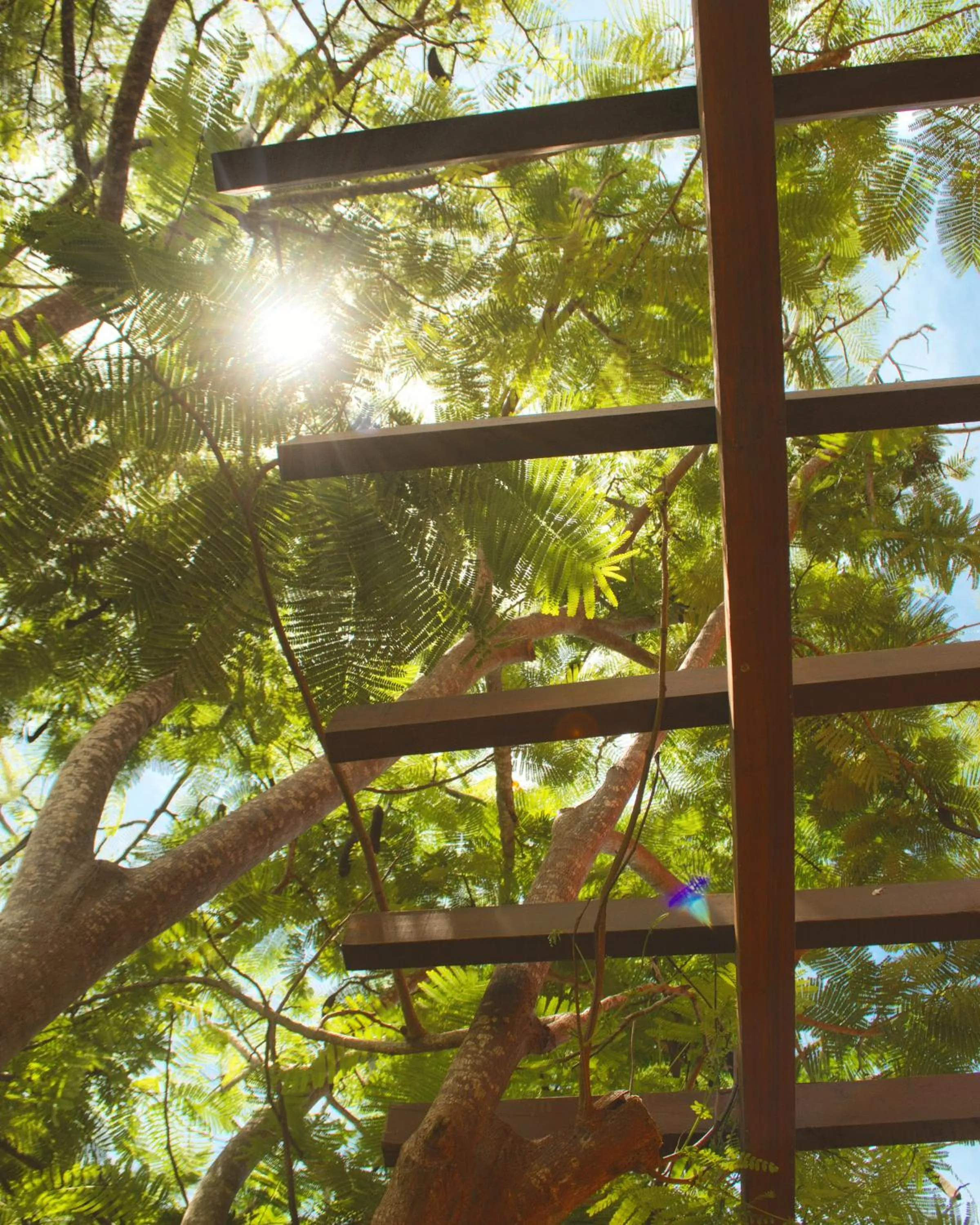 Balcony/Terrace in Naquela Jericoacoara