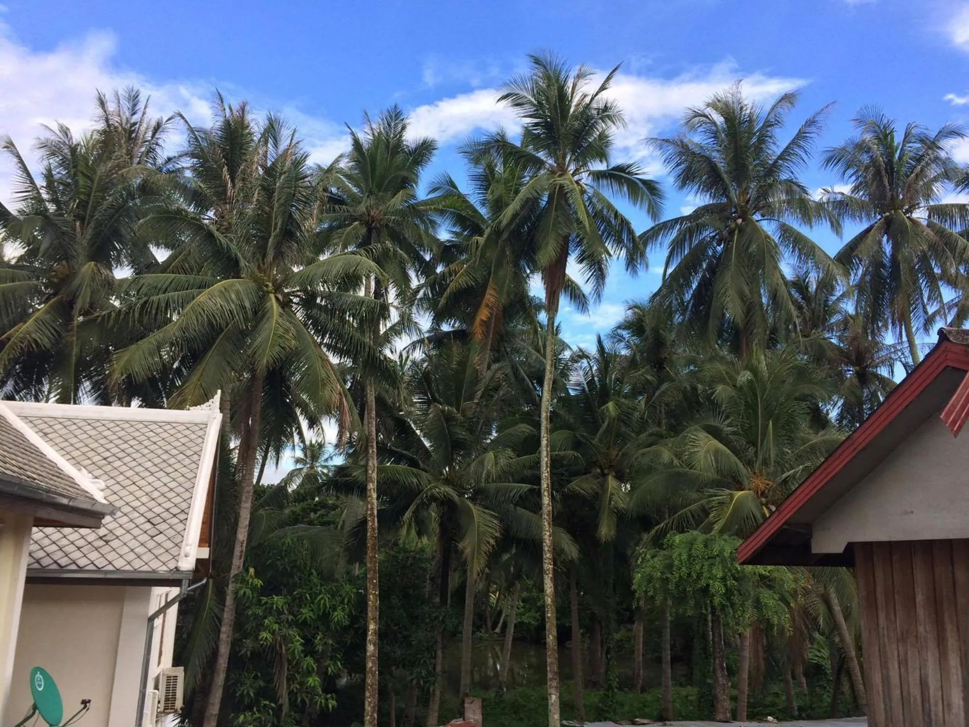 Property building in Soutikone Place House 2