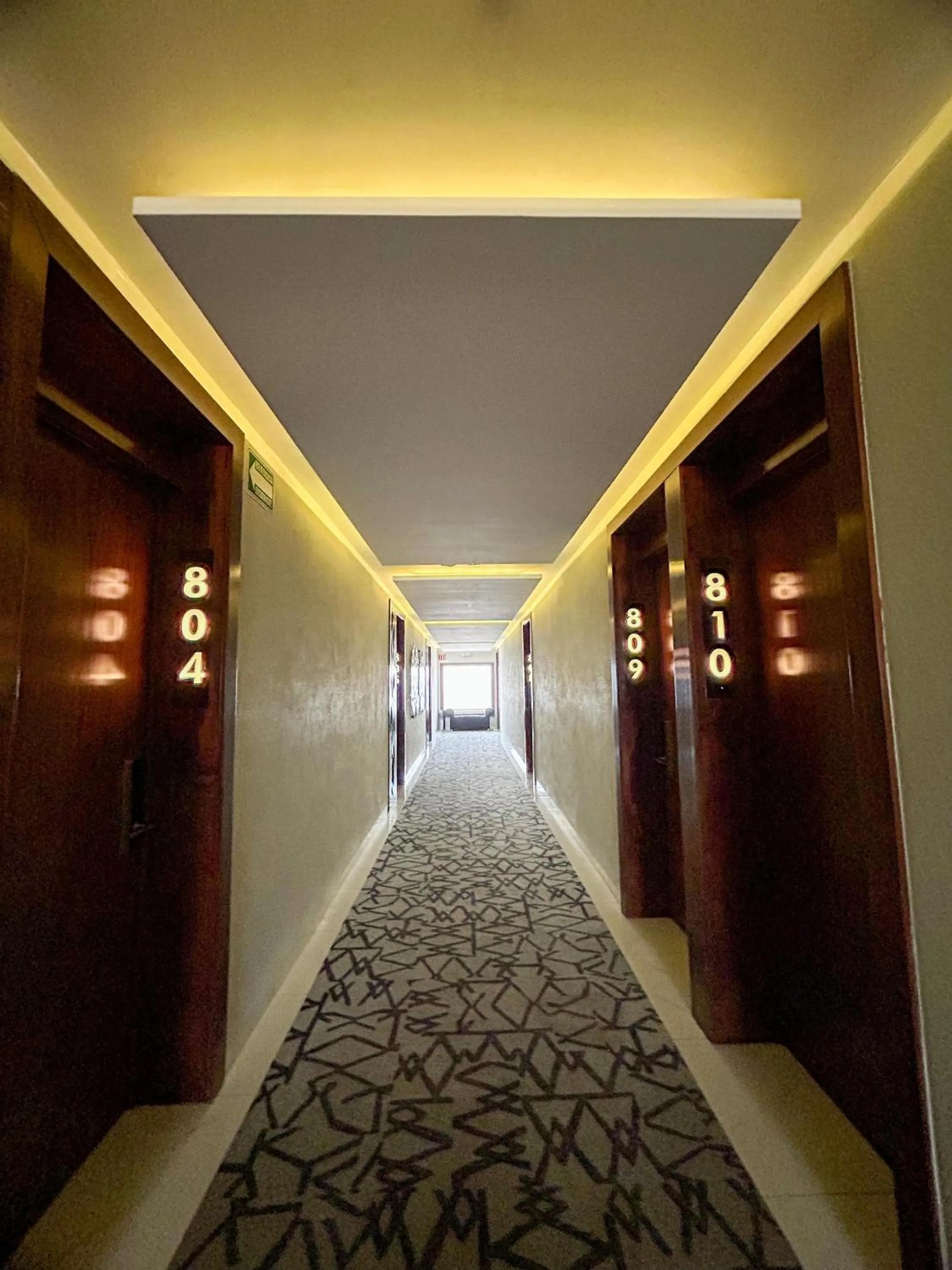 Decorative detail in Hotel Dali Plaza Ejecutivo