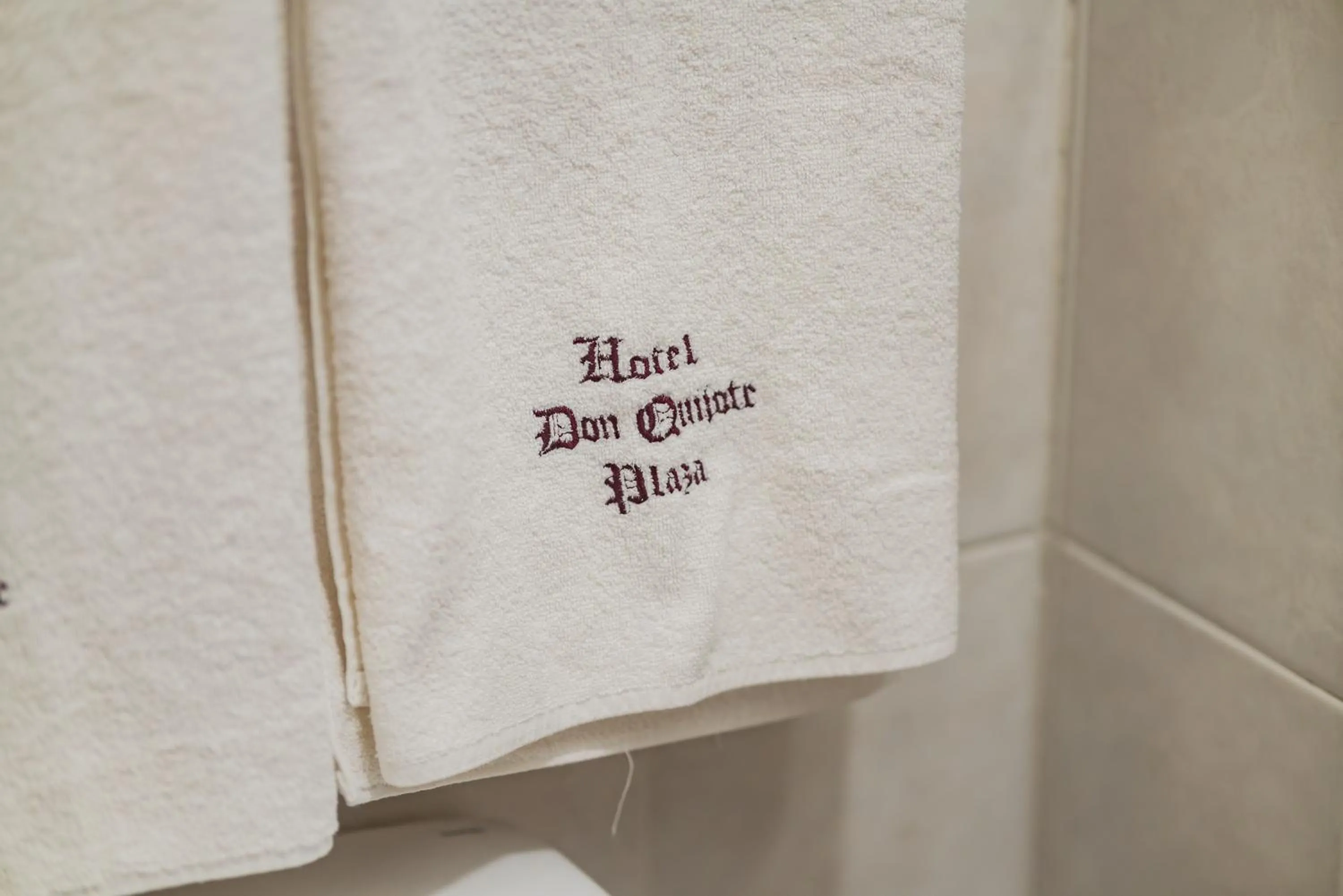 Hotel Don Quijote Plaza - Guadalajara Centro Historico