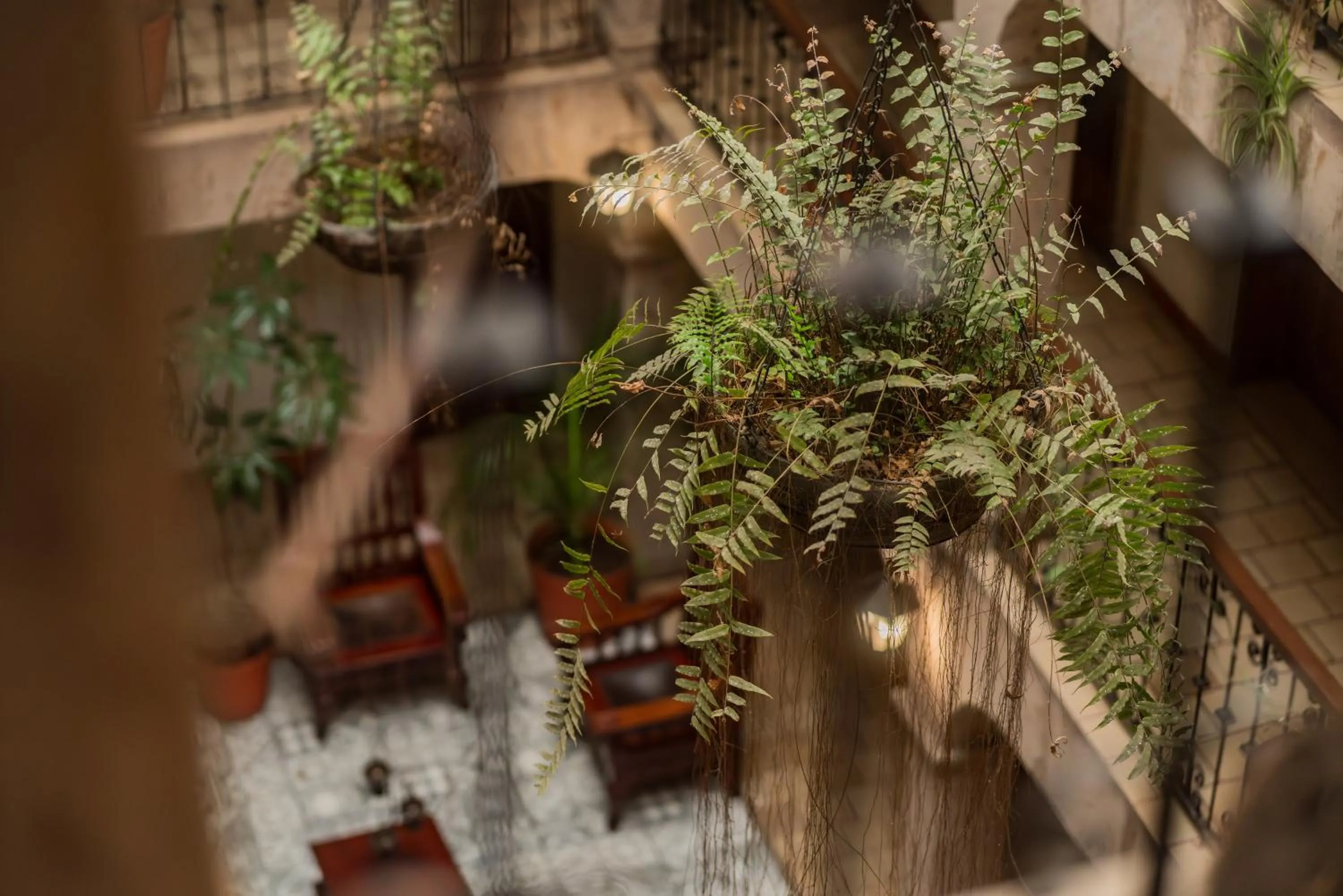 Hotel Don Quijote Plaza - Guadalajara Centro Historico