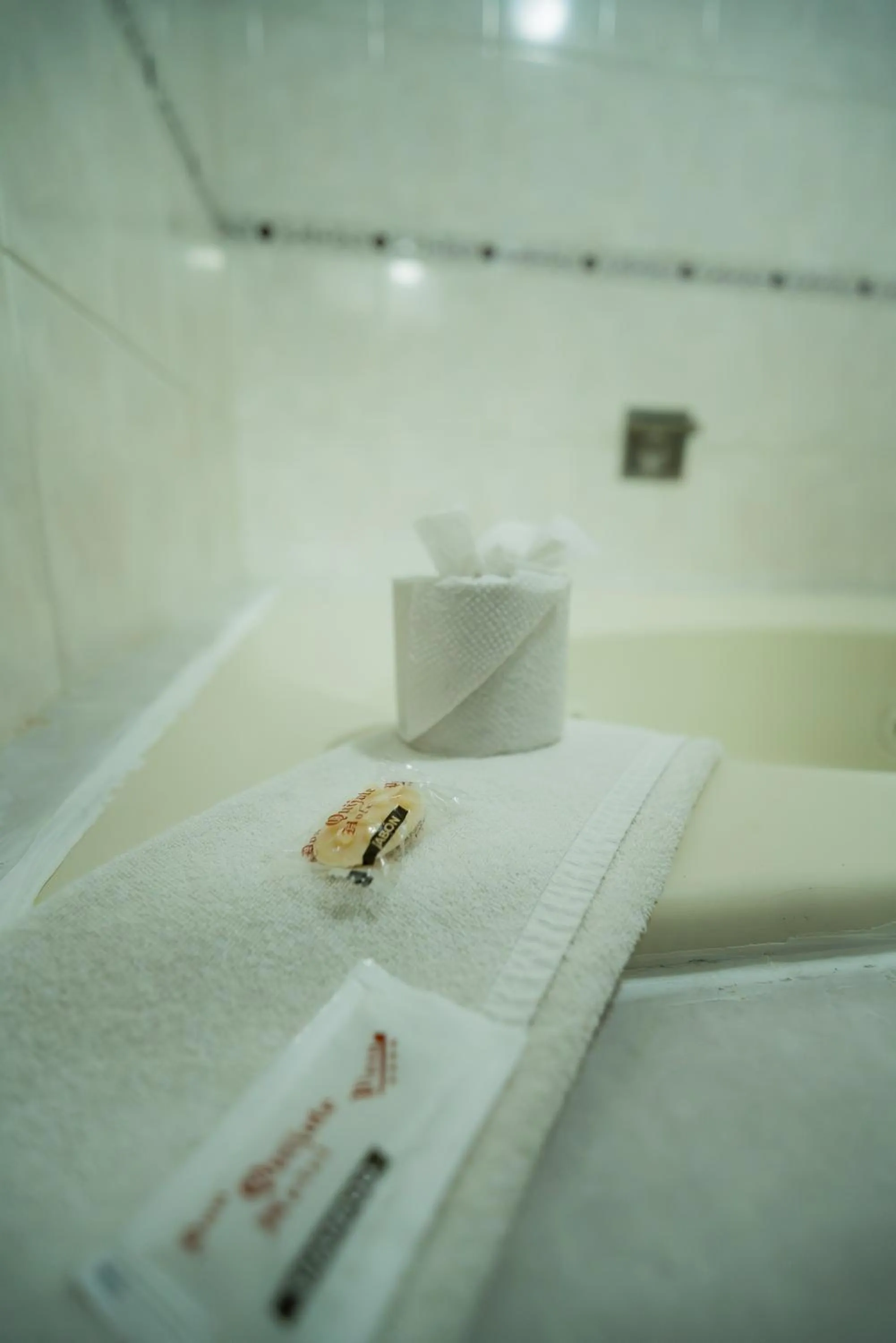 Hotel Don Quijote Plaza - Guadalajara Centro Historico