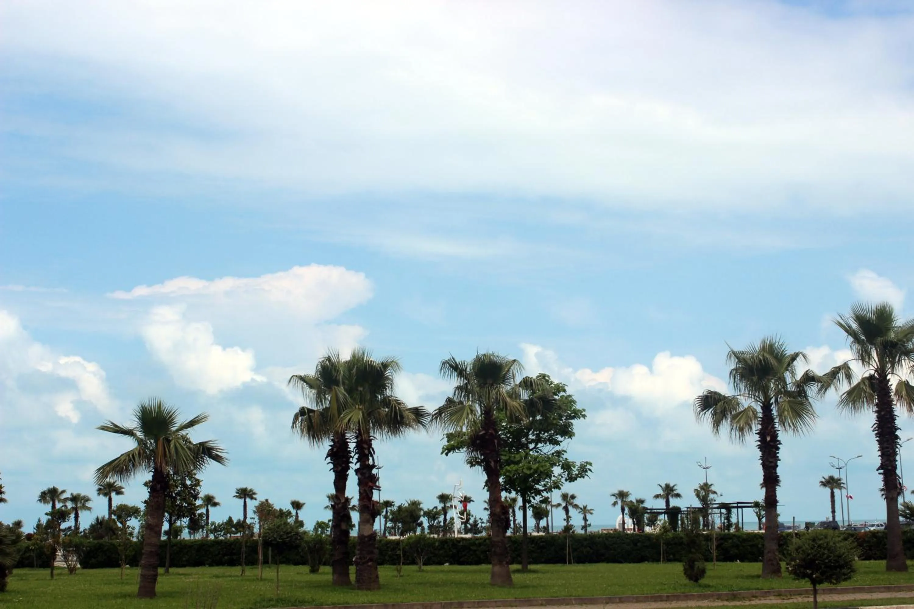 Garden in Euphoria Apartments