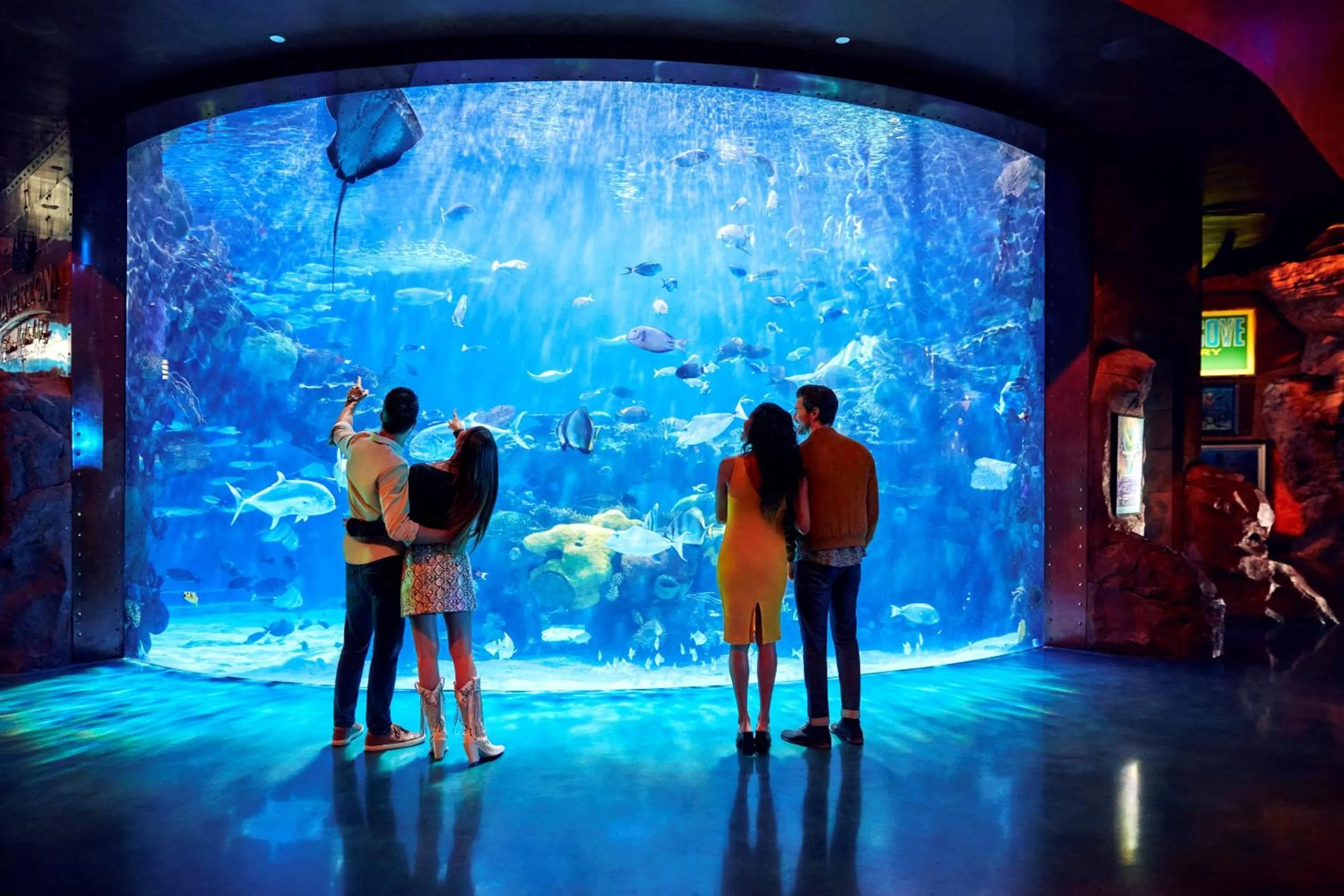 Activities in Silverton Casino Lodge