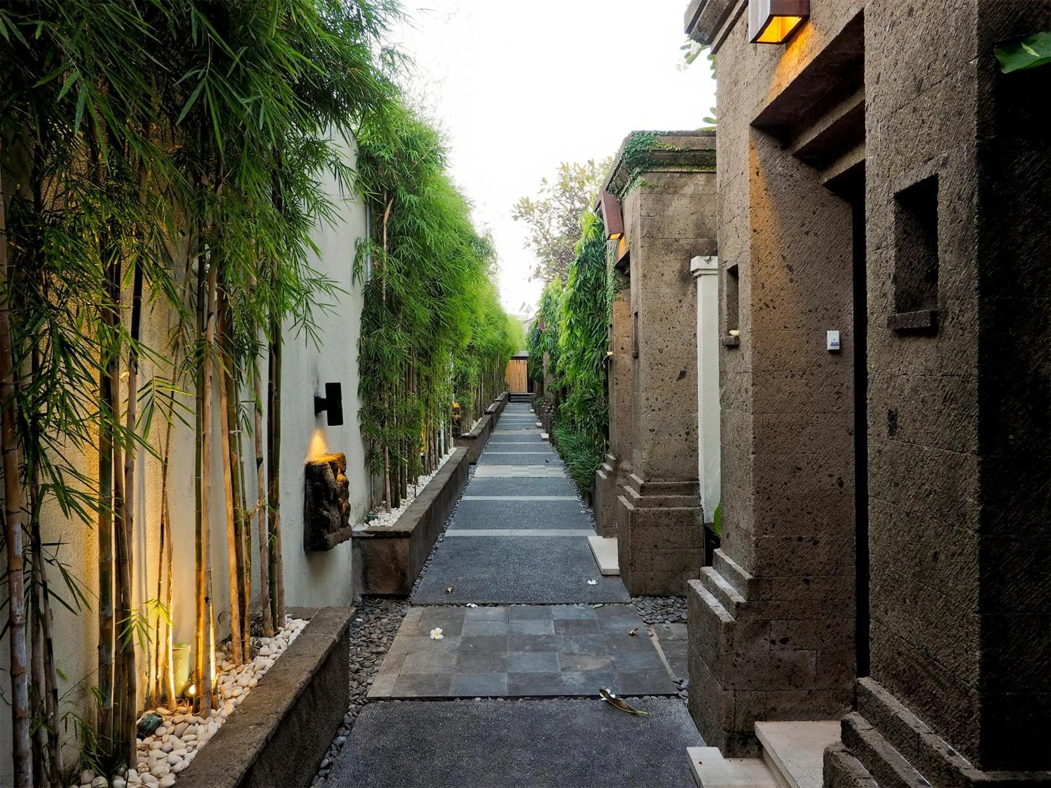 Garden in The Amala Boutique Retreat