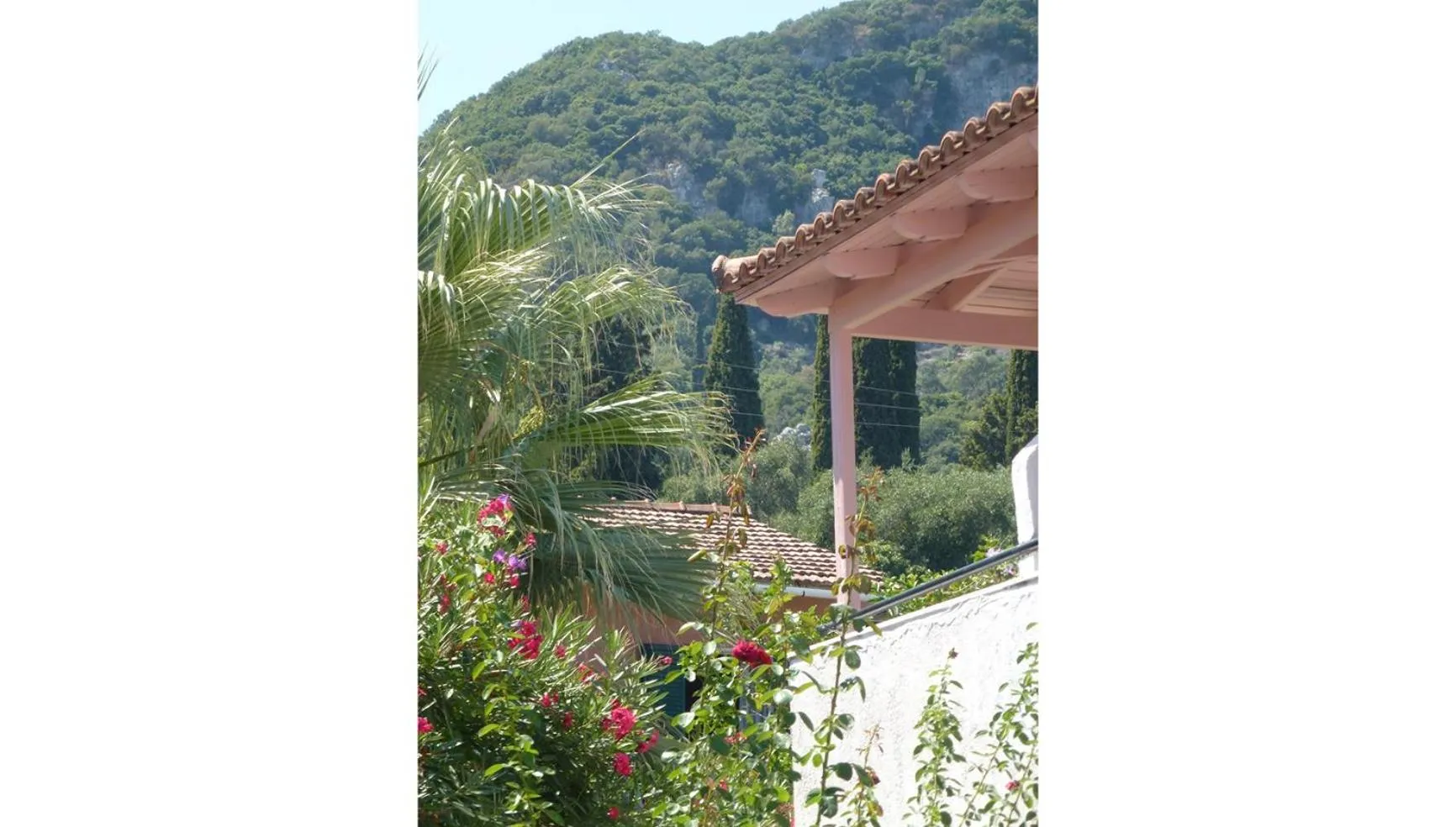 Garden in Galini Studios