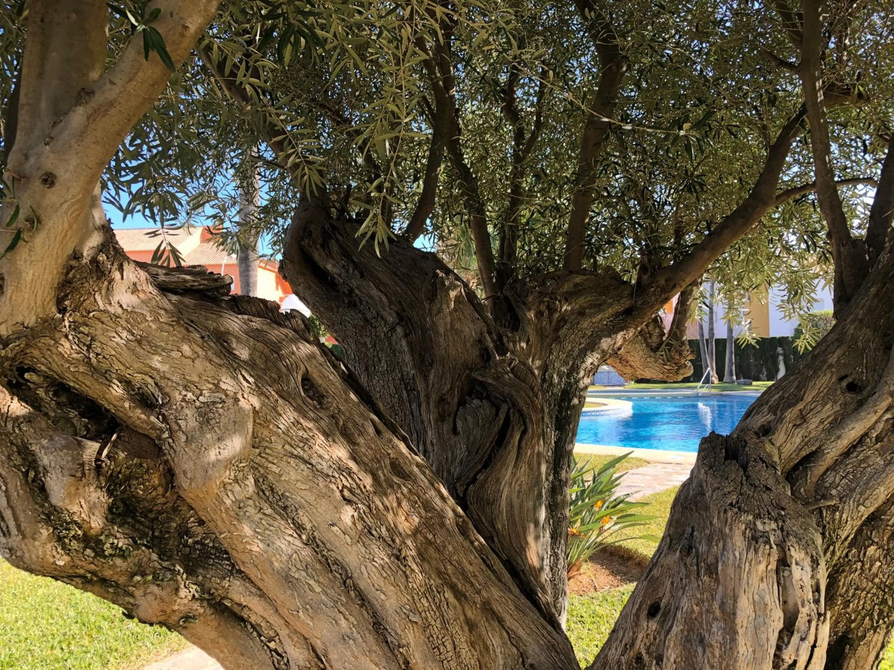 Hort 1-Serviden