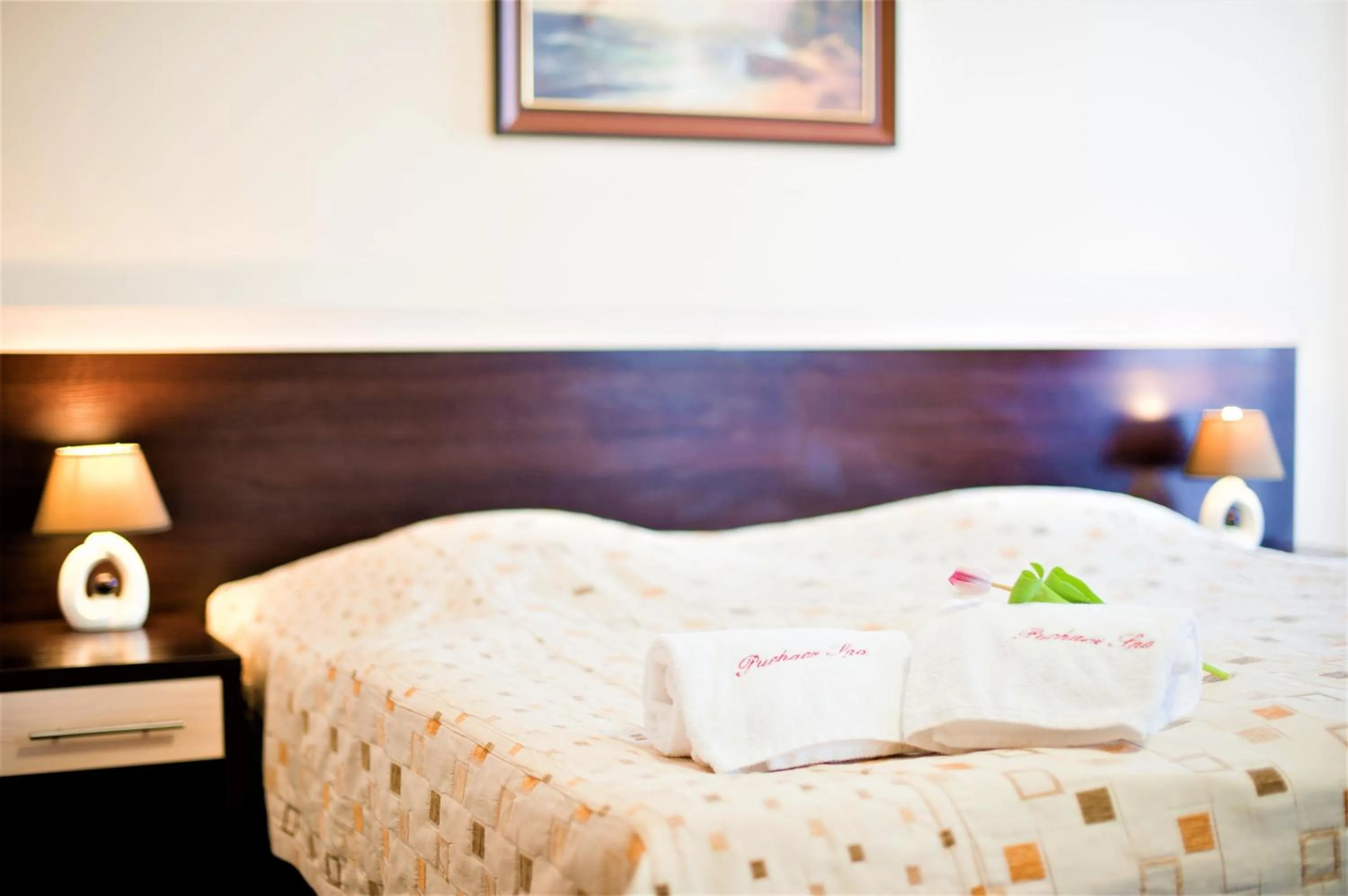 Photo of the whole room, Bed in Puchacz - Spa