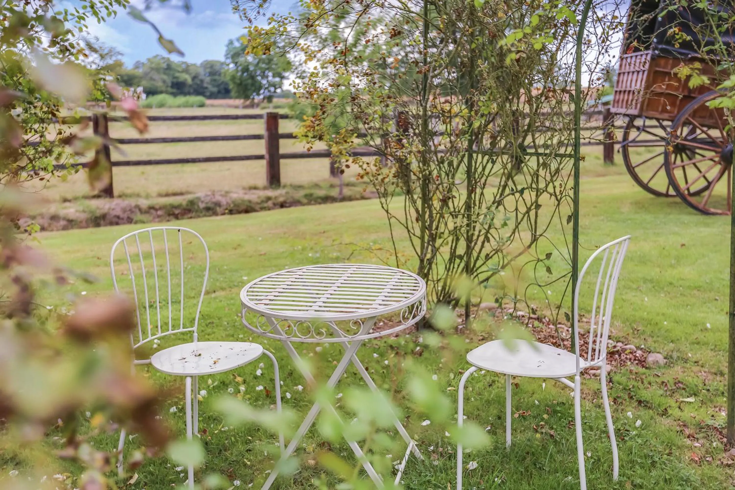 Garden in Domaine De La Tour