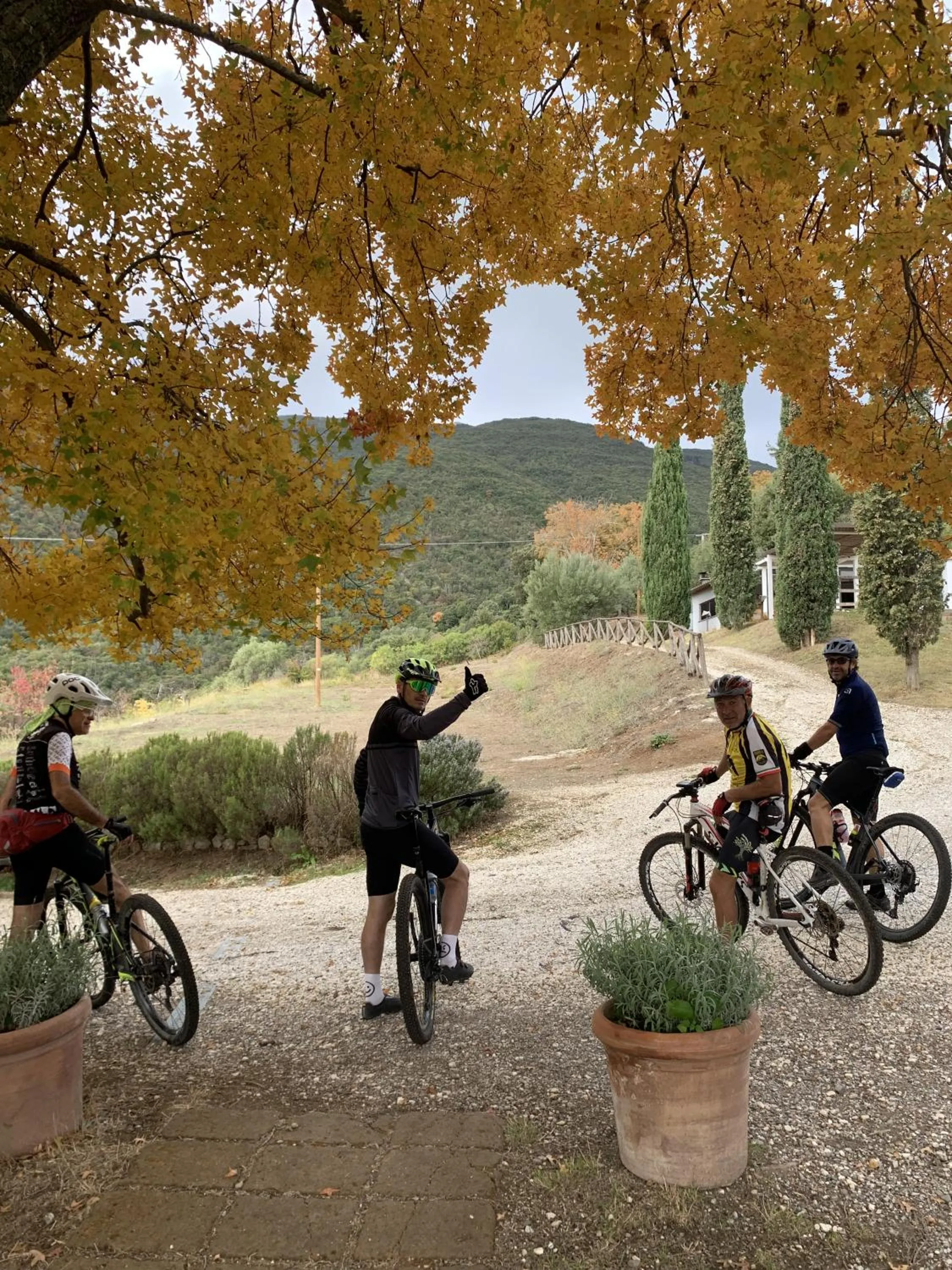 Natural landscape in Agriturismo Boschi di Montecalvi