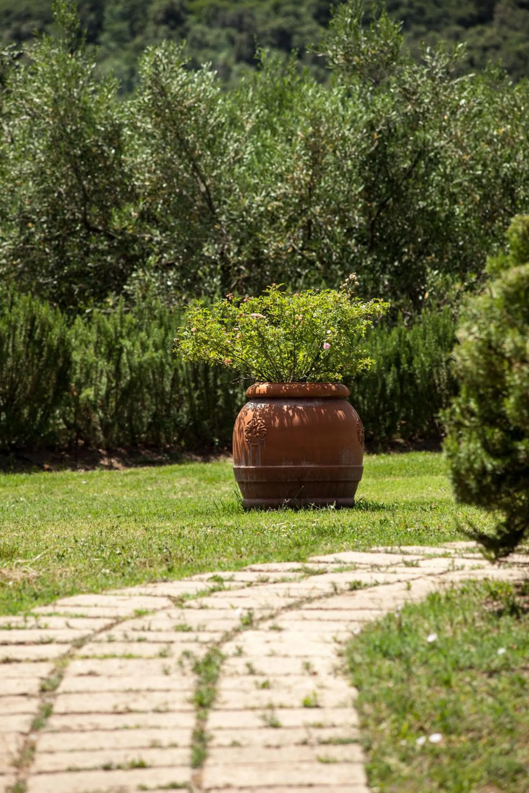 Garden in Agriturismo Boschi di Montecalvi