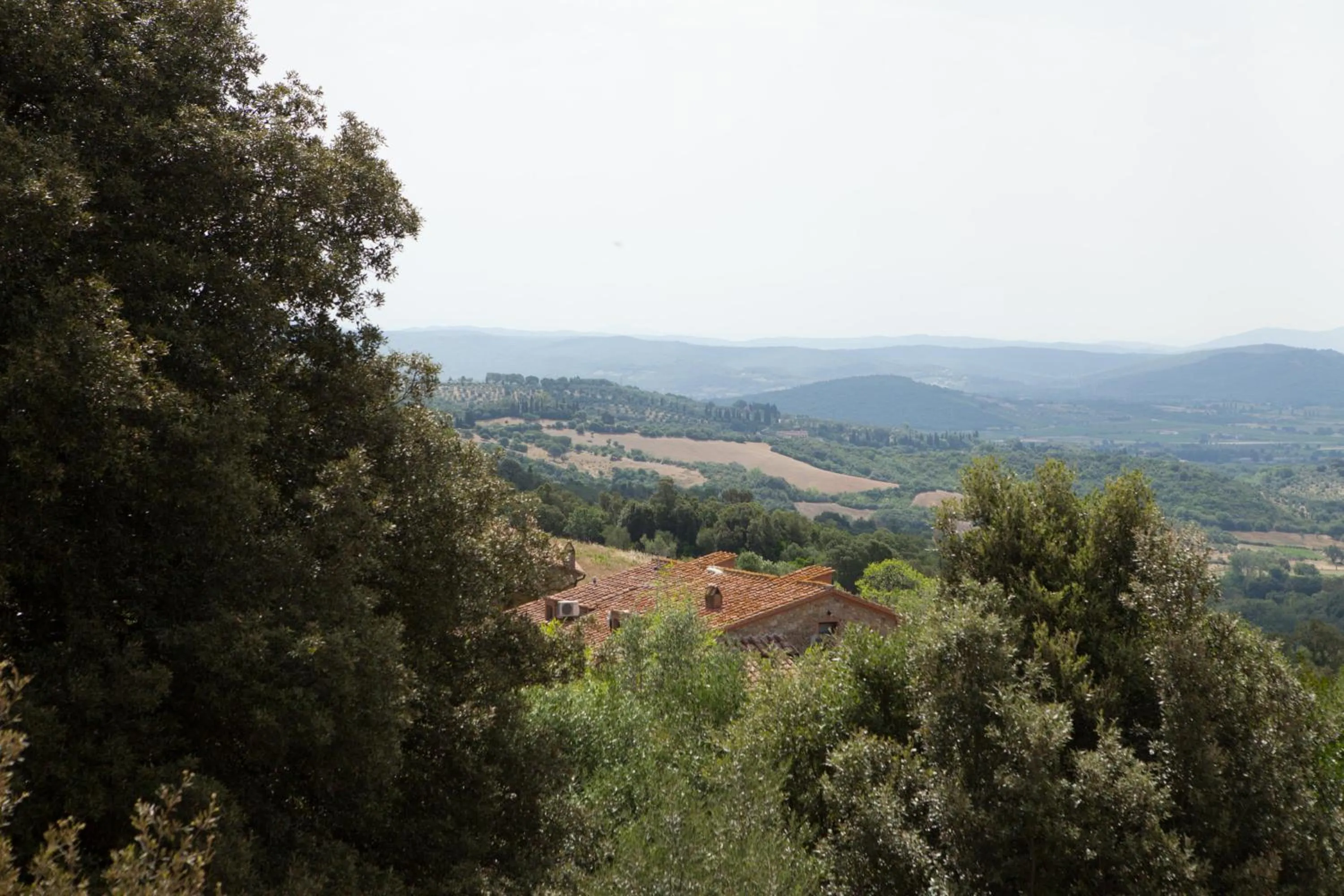 Natural landscape in Agriturismo Boschi di Montecalvi