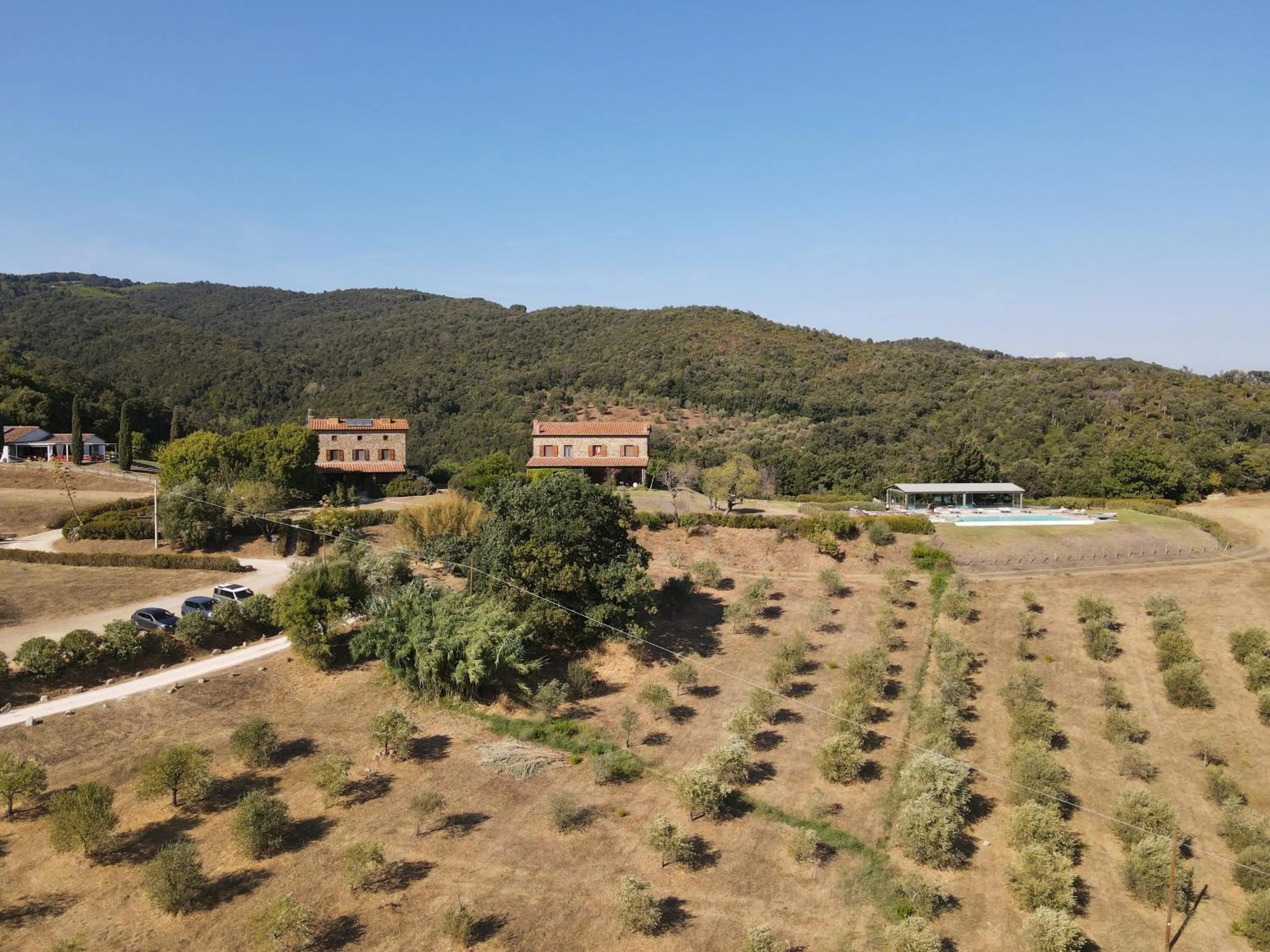 Natural landscape in Agriturismo Boschi di Montecalvi