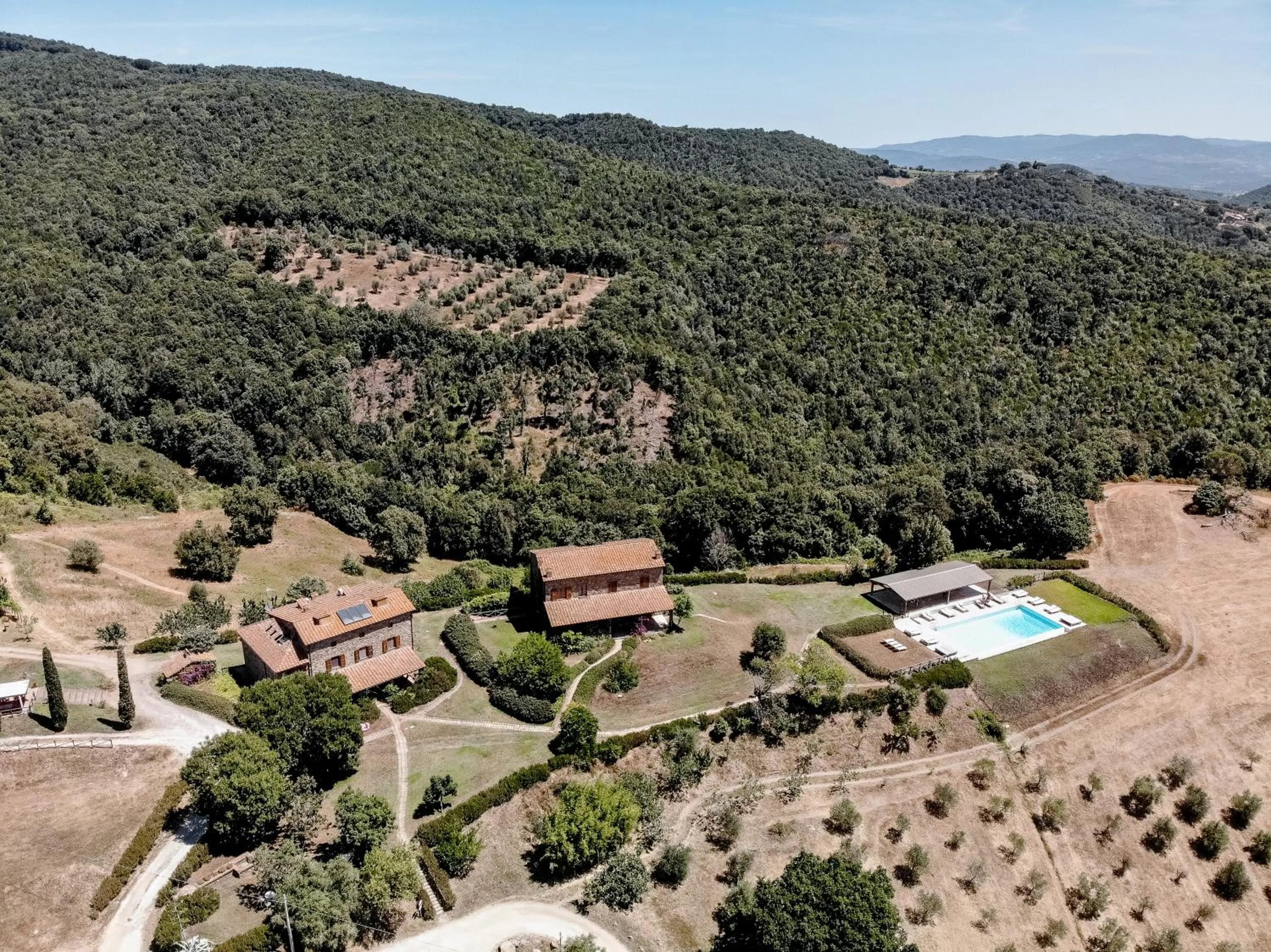 Natural landscape in Agriturismo Boschi di Montecalvi