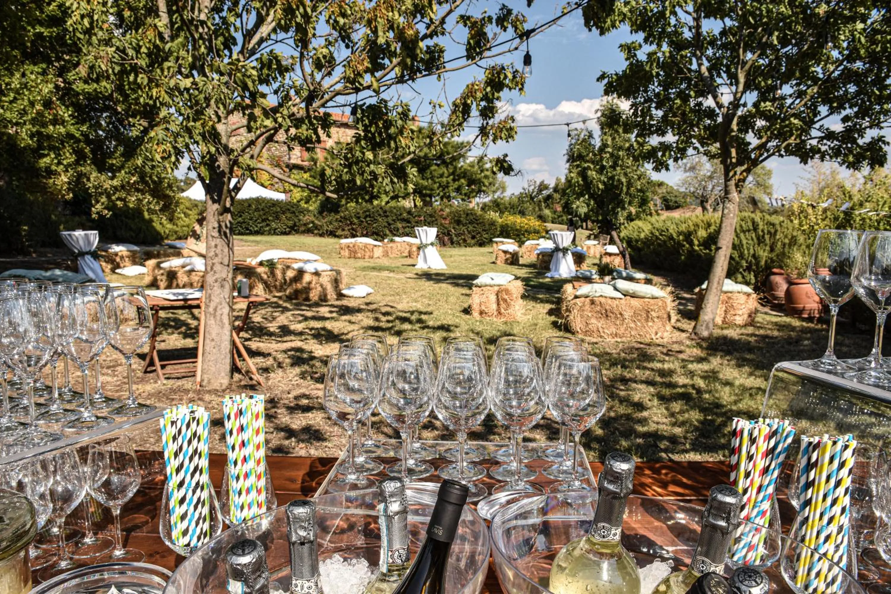 Garden in Agriturismo Boschi di Montecalvi