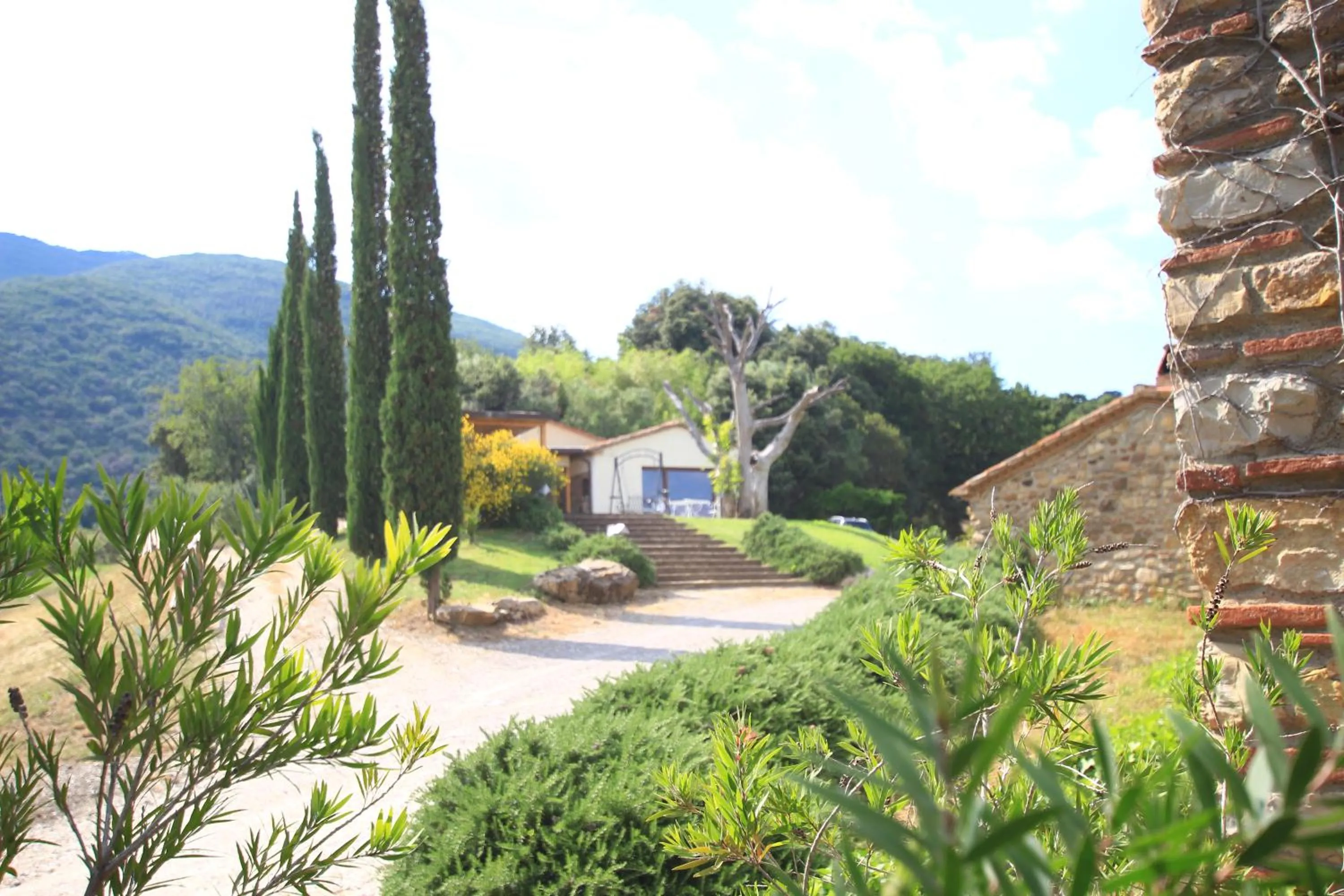 Natural landscape in Agriturismo Boschi di Montecalvi