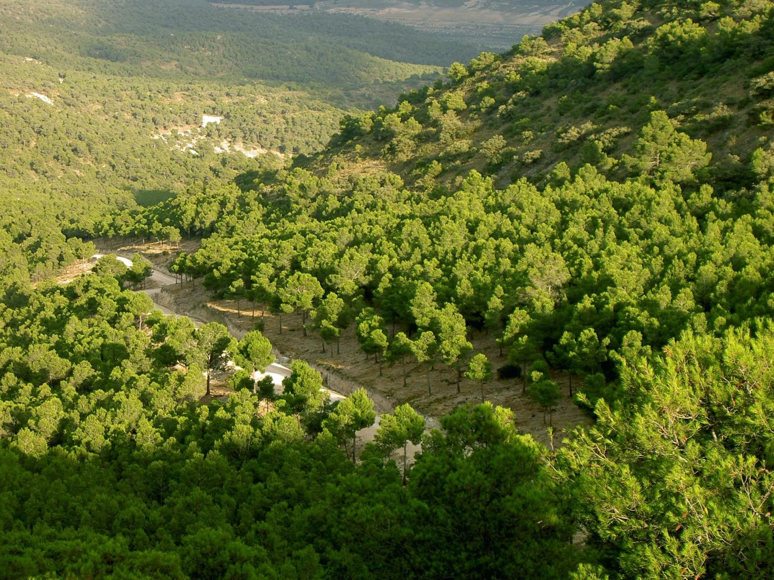 Day in Hotel Rural Mas Fontanelles