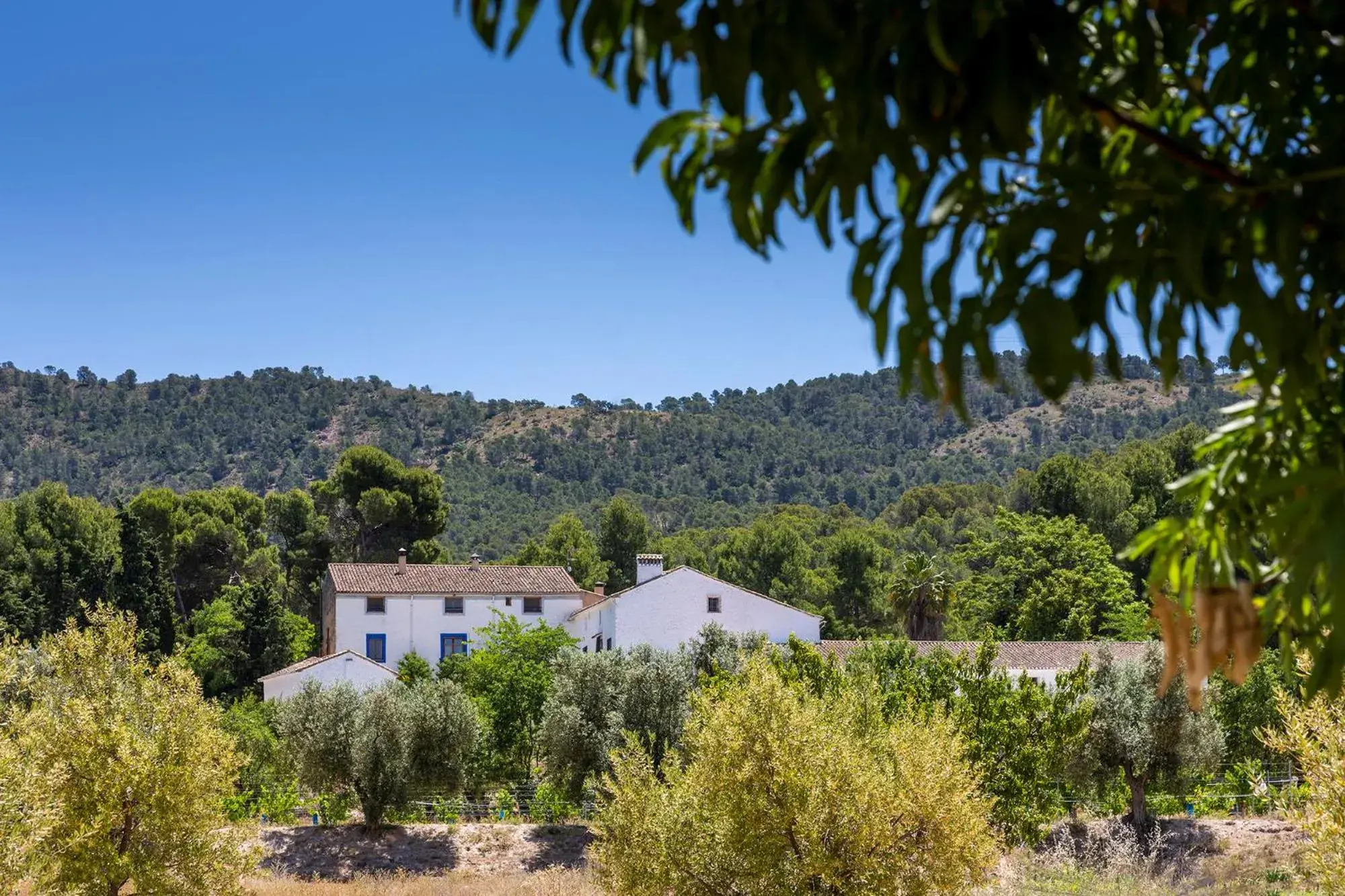 Facade/entrance in Hotel Rural Mas Fontanelles Facade/entrance in Hotel Rural Mas Fontanelles