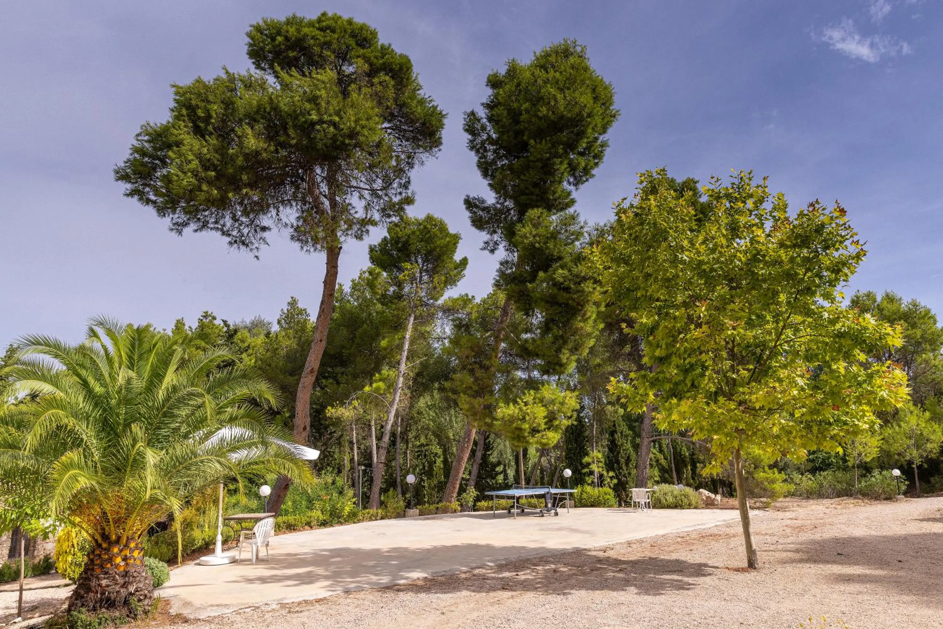 Garden in Hotel Rural Mas Fontanelles